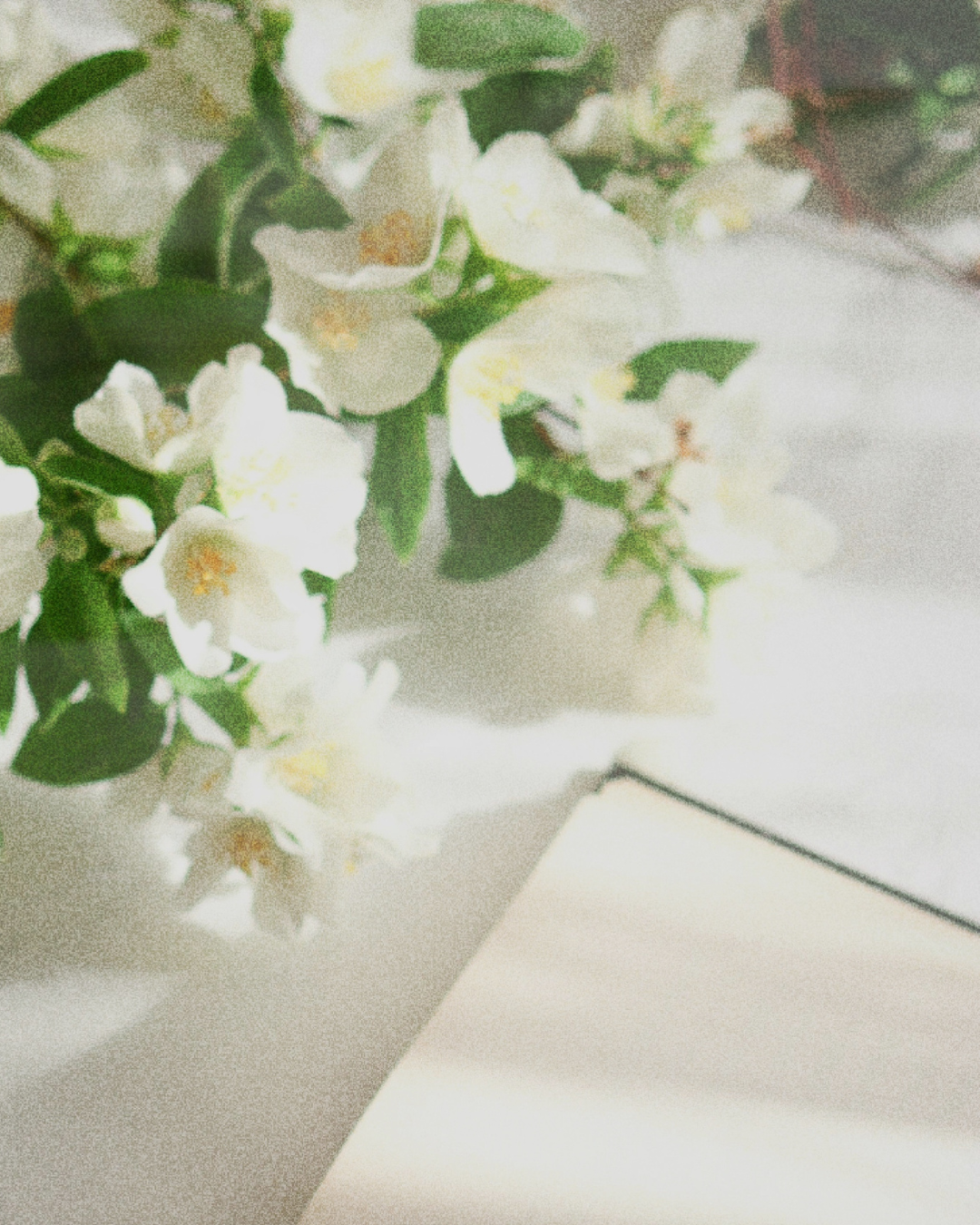 Princess Jasmine Roll-on