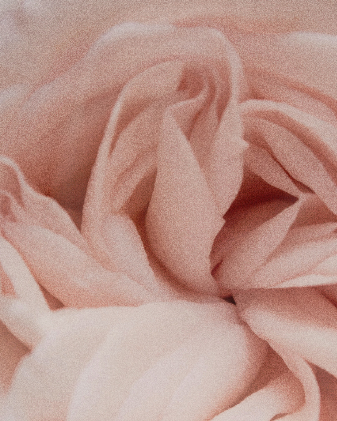 Blushing Iris Roll-on