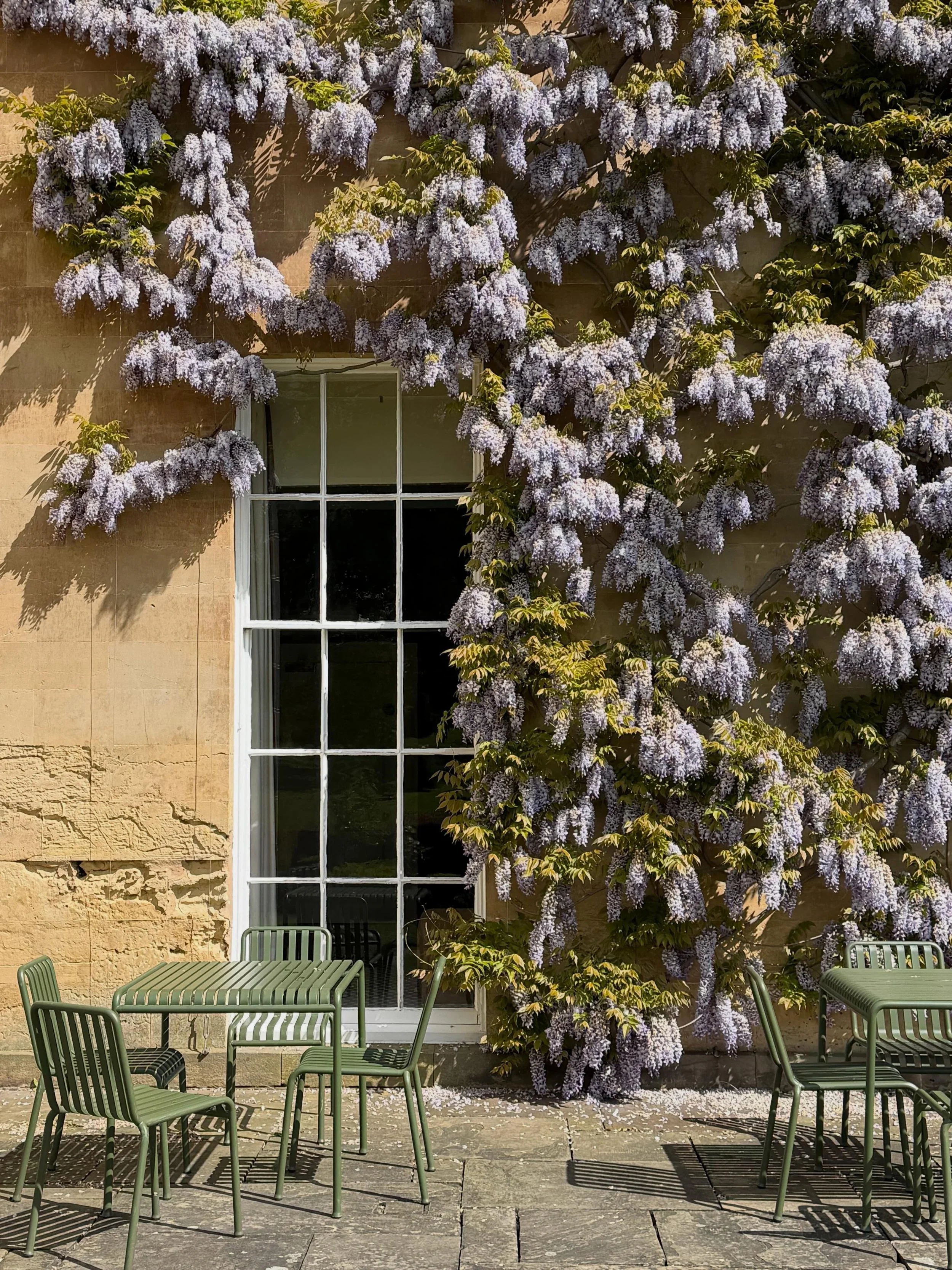 May in Yorkshire 
✨🌱🌷🌸
.
A flying visit to see my mum, and the surroundings are 🤩☀️🤫🧘🏼 
.
Thank you @ruddingparkhotel 
Happy weekend 💫