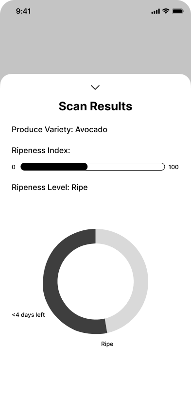 Scan Results
