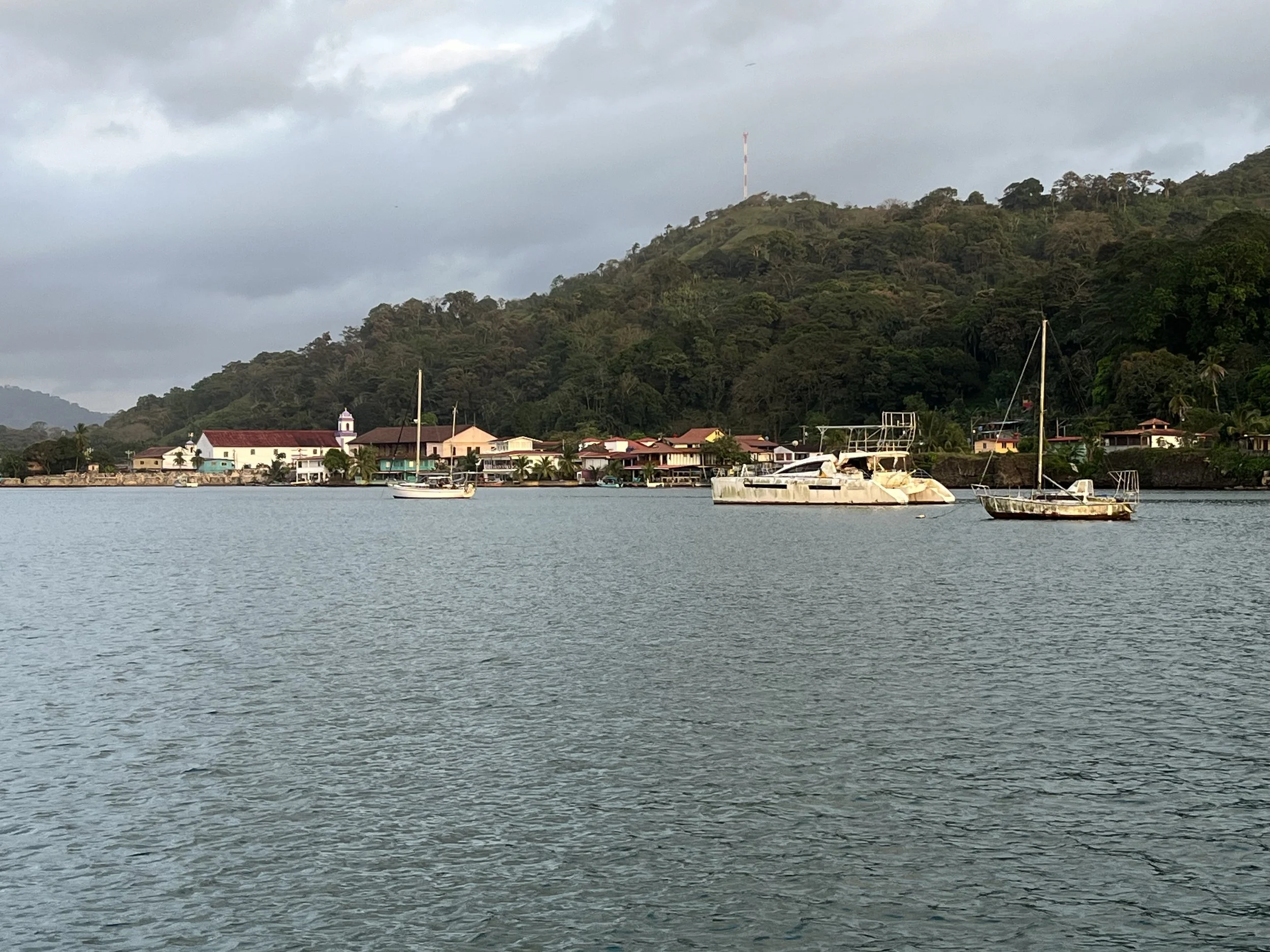 Bahia Portobello 13 March 2024. &nbsp;
