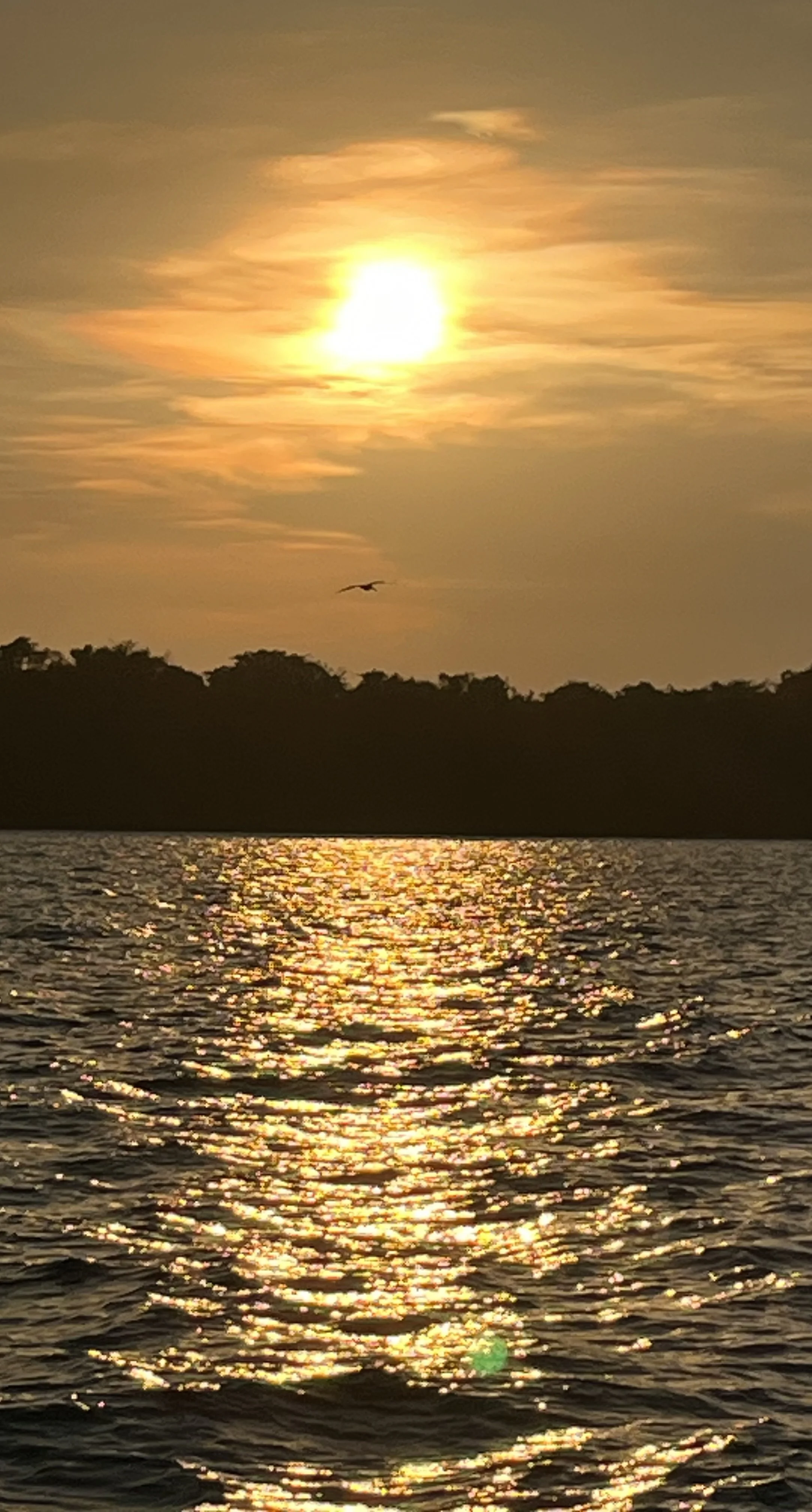 Las Perlas Islands -28 March 2024.
