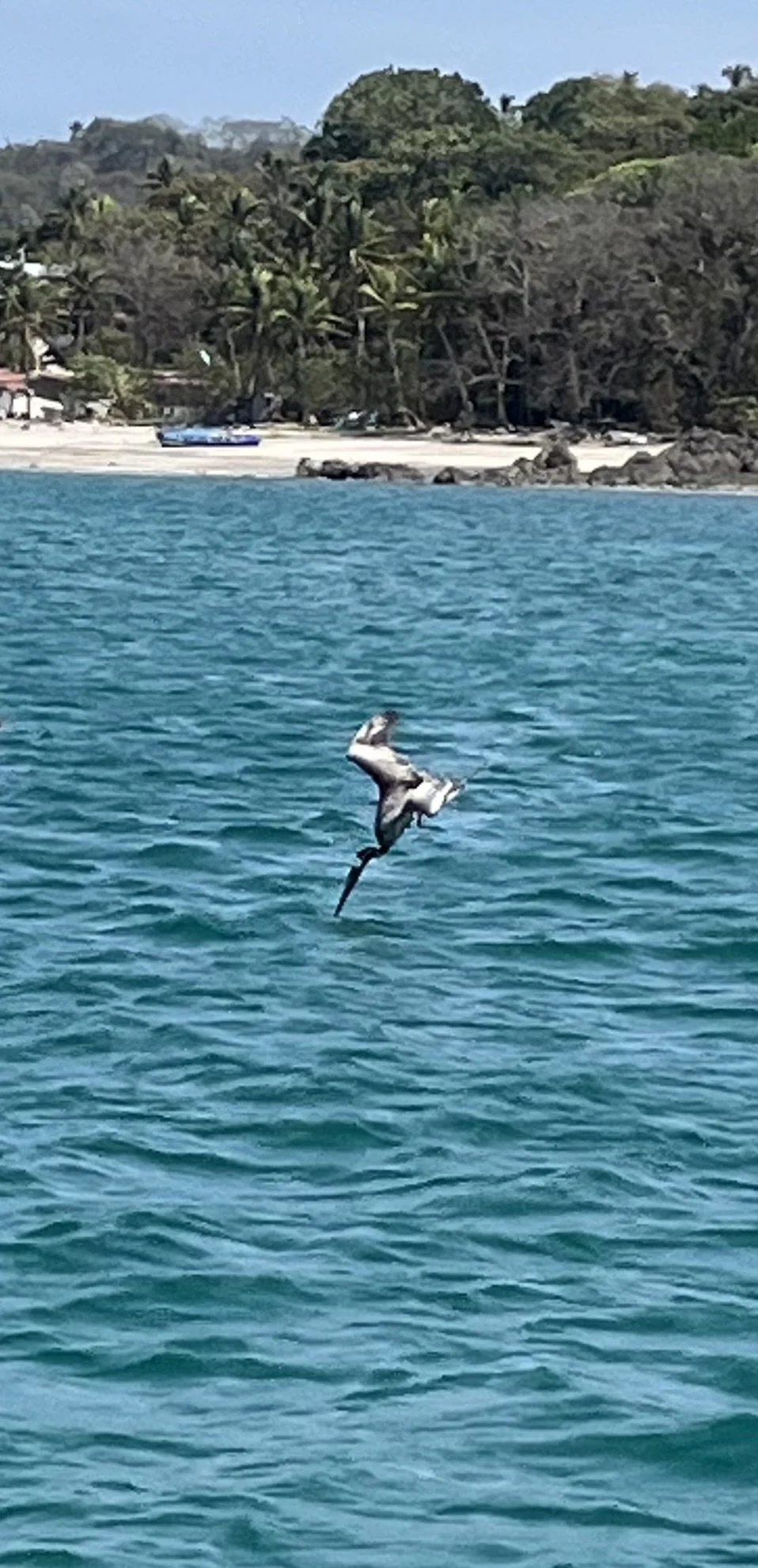 Las Perlas Islands -29 March 2024.