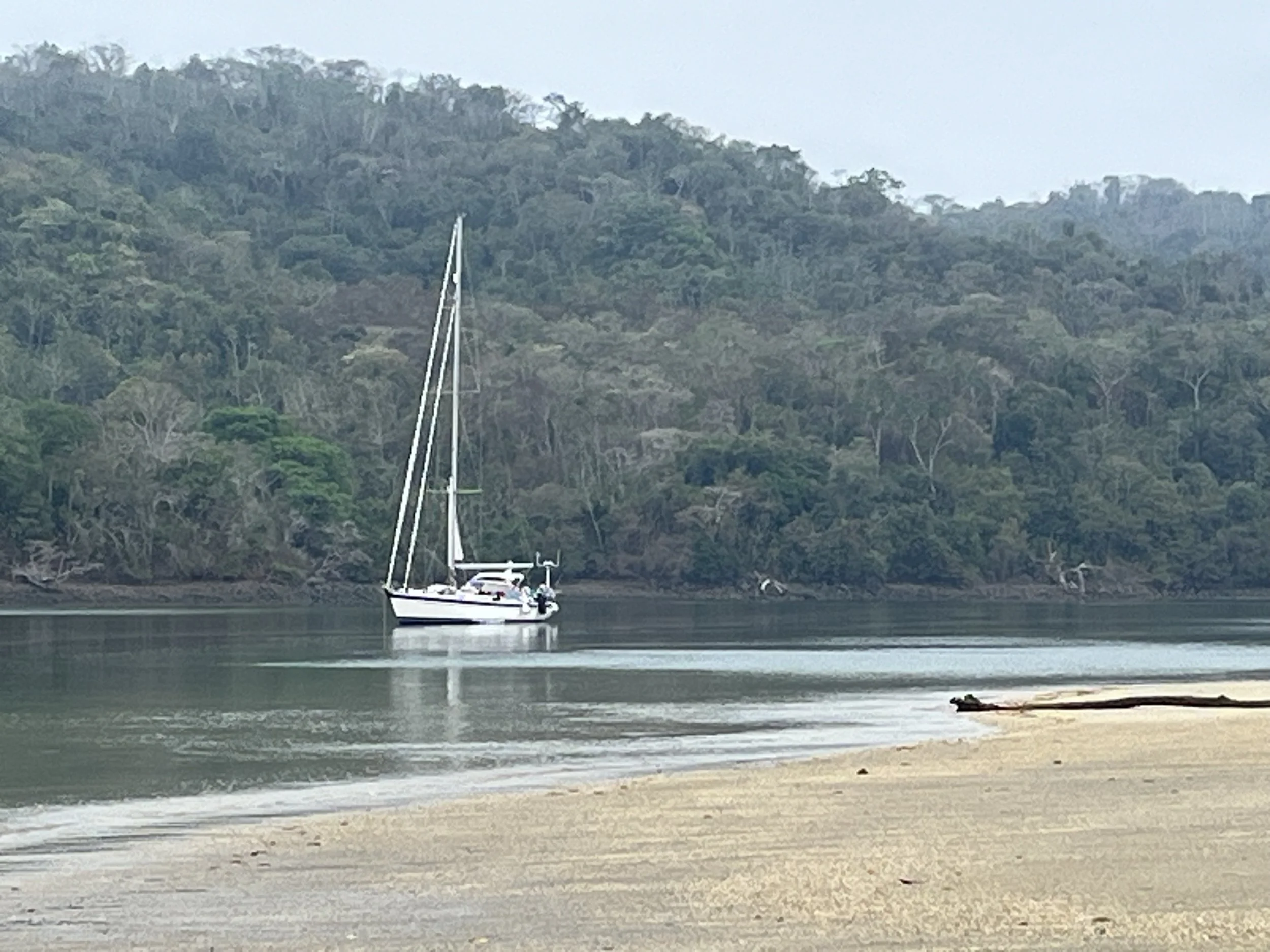      

 
   I woke early as I felt I had had enough sleep. I sat on the aft deck and watched the birdlife begin their fishing – especially the Pelicans diving into the water with quite a loud splash. It was slightly cloudy but virtually no wind. As t