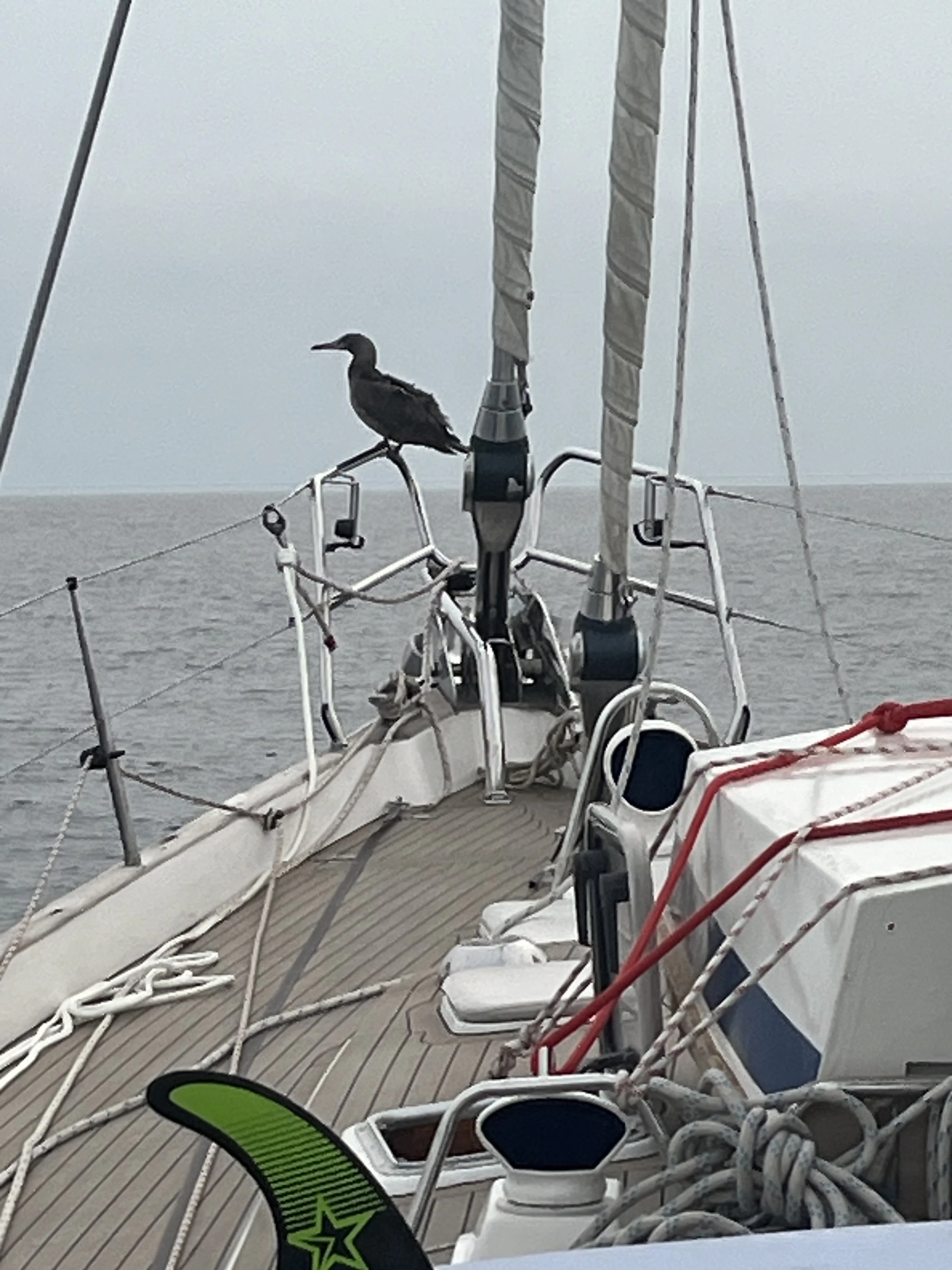 En Route to the Galapagos – 7 April 2024.