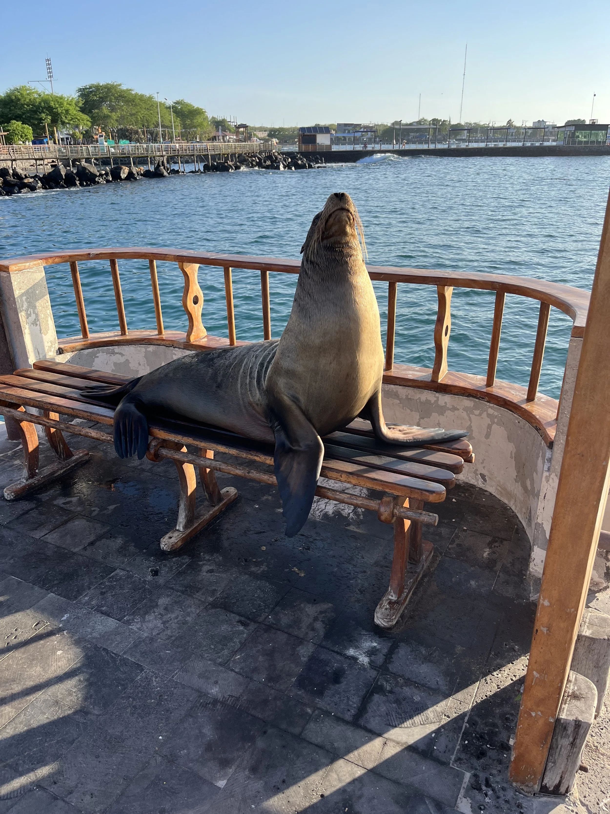 San Cristobal - Galapagos -16 April 2024