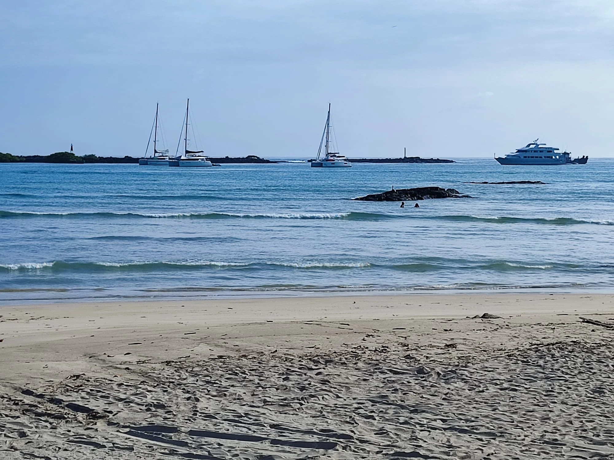 Santa Cruz - Galapagos - 19 April 2024