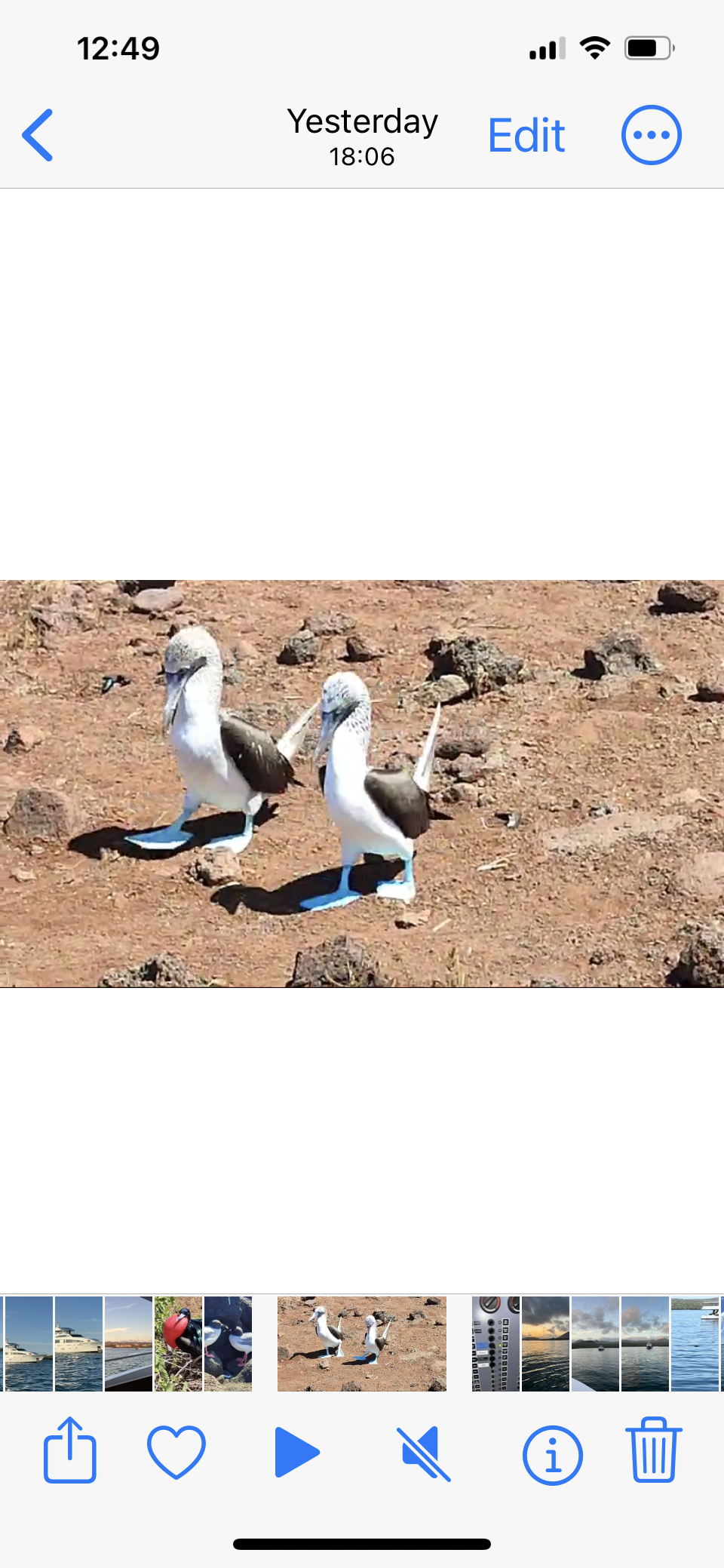 The Grand Majestic -Floreana- Galapagos –23 April 2024.