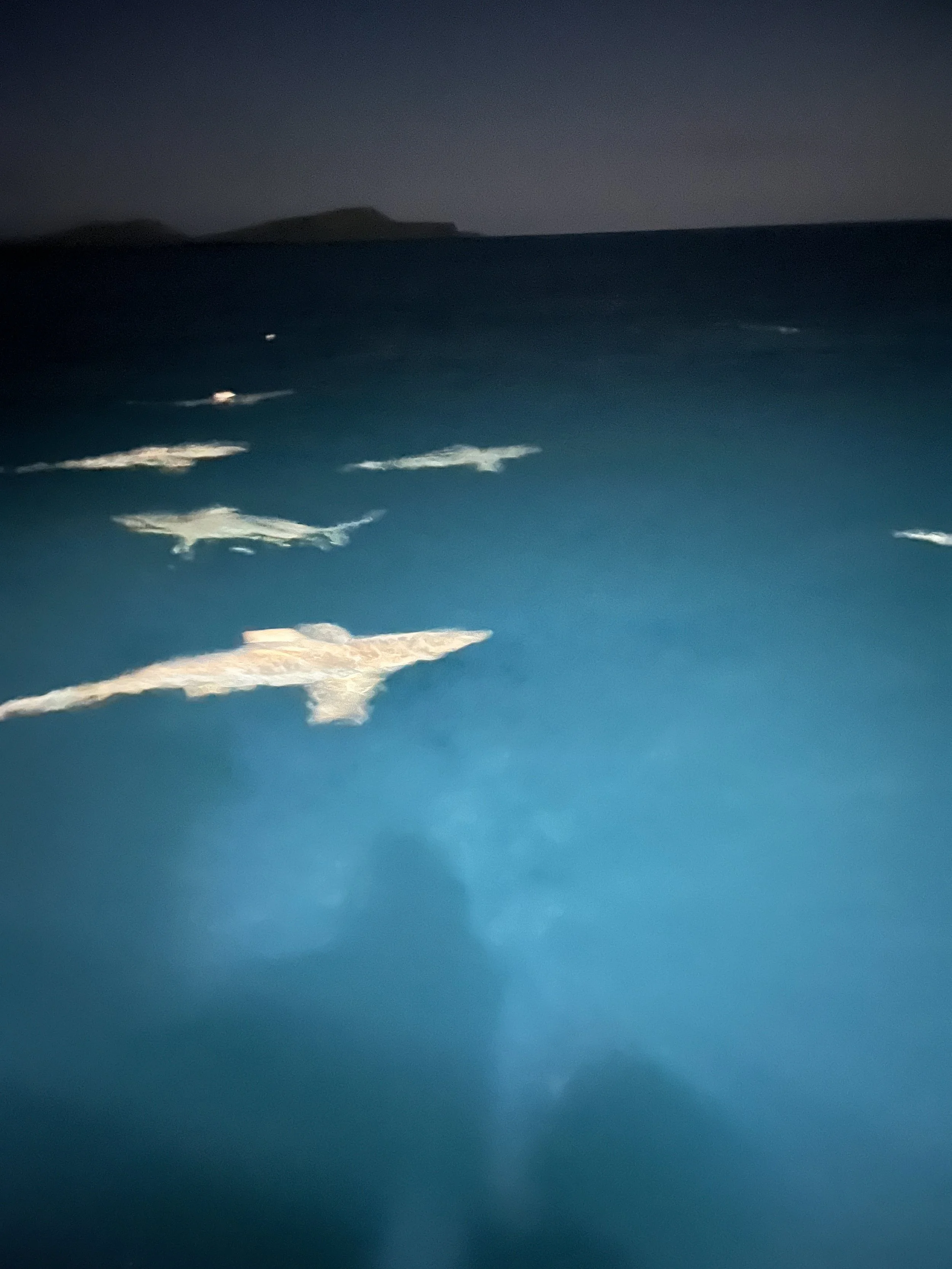 The Grand Majestic -Espanola- Galapagos –24 April 2024.