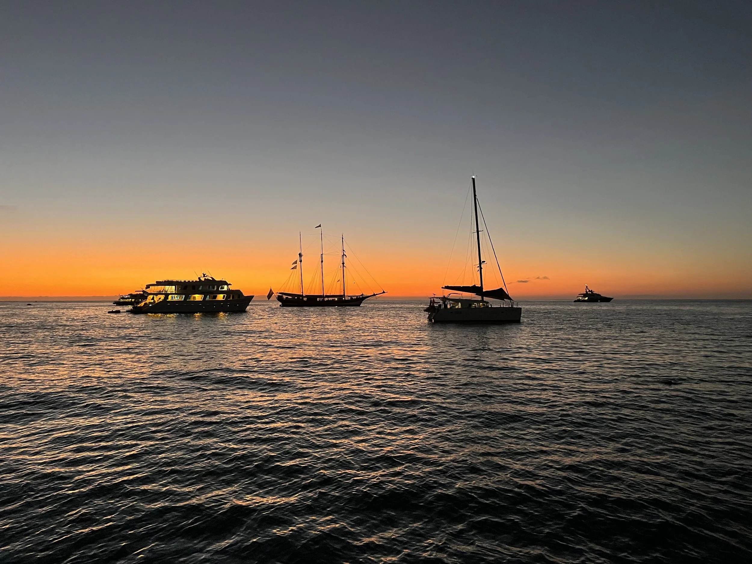 Back To Stormbird -San Cristobal - Galapagos –29 April 2024.