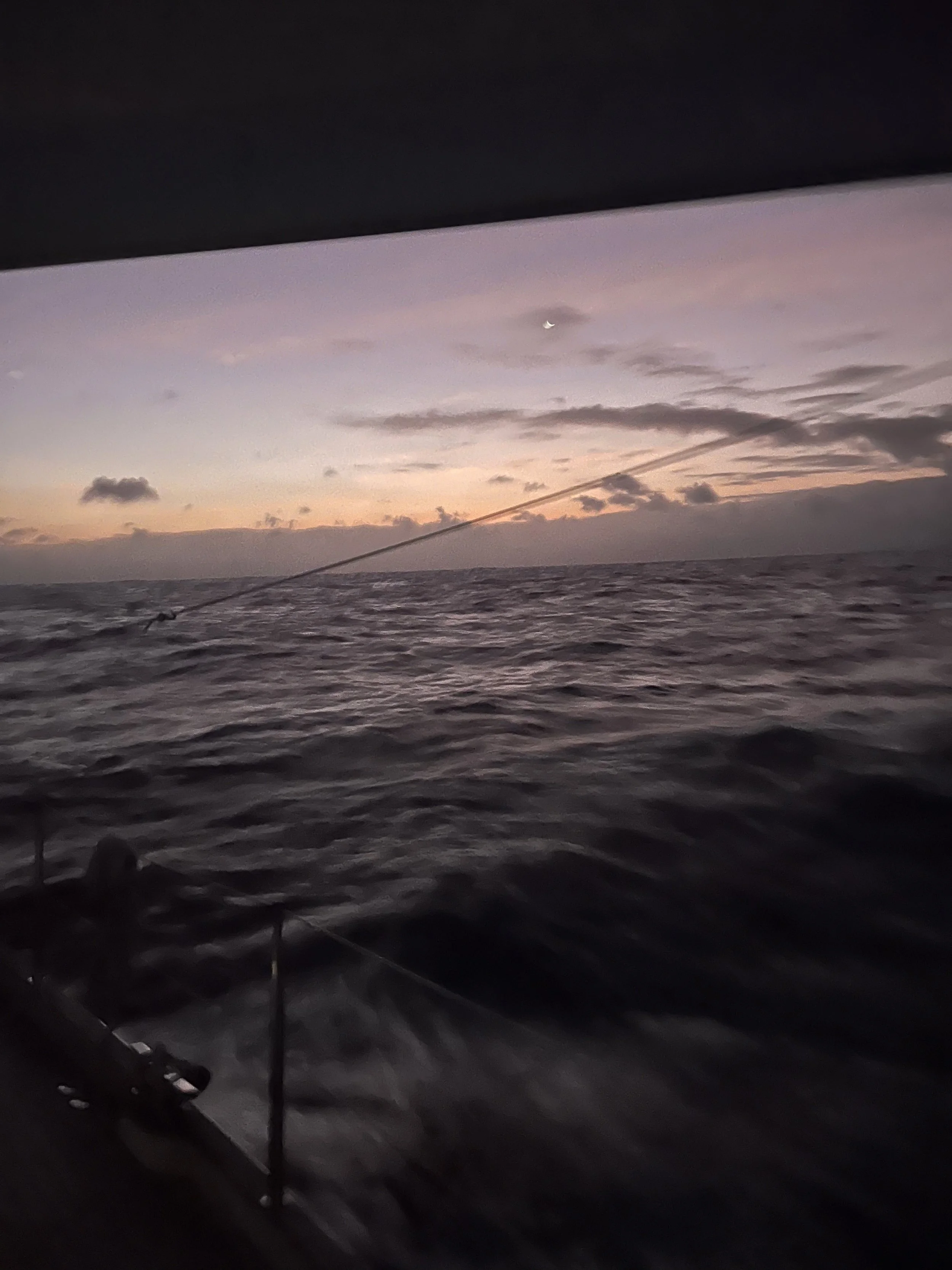 Galapagos to Marquesas –8 &nbsp;May 2024 – Day 8