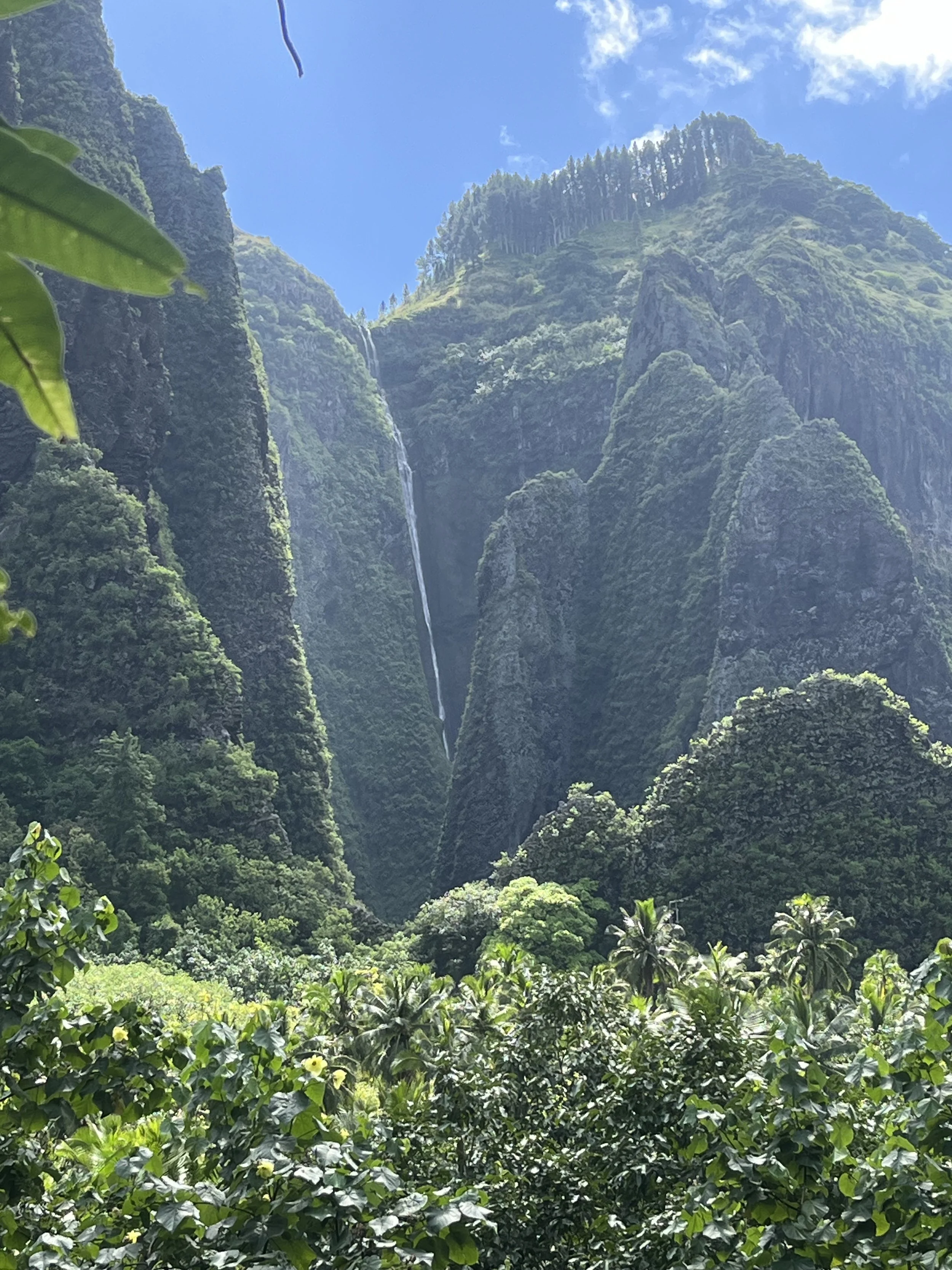 Marquesas –Nuuk Hiva 26 May 2024 – The Waterfall Walk