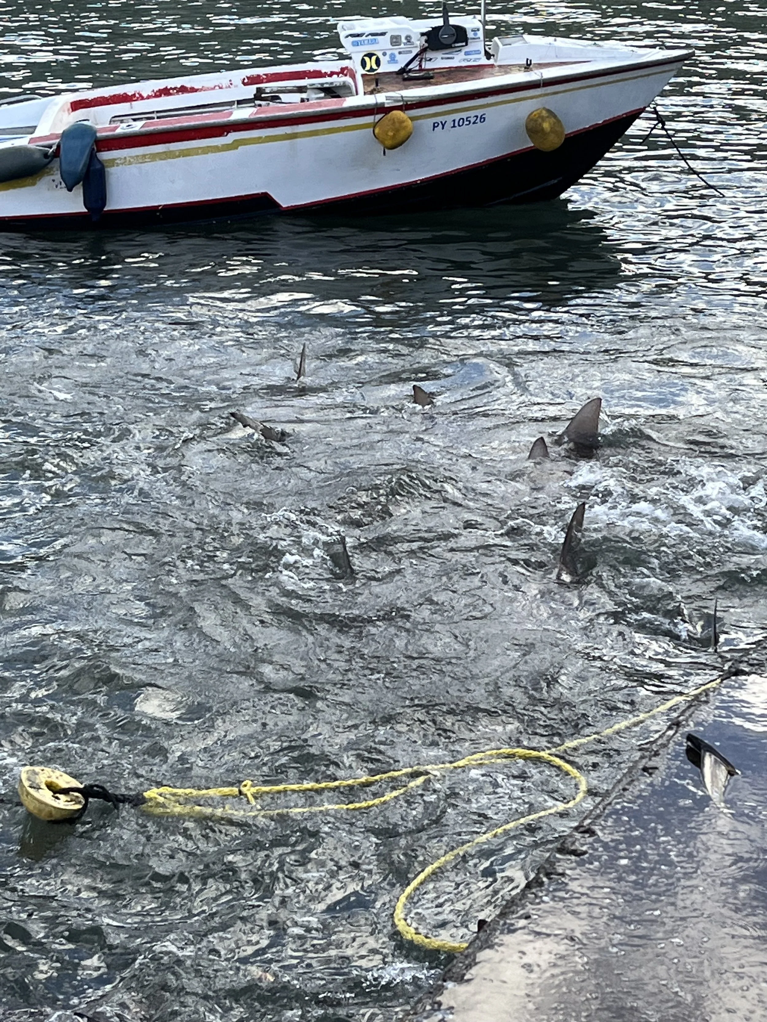 Marquesas –Nuku Hiva – Final Preparations 14 June 2024