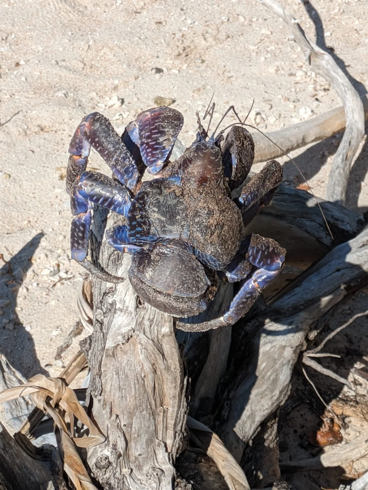 Rangiroa - Tuamotu 28 June 2024 -Strong Winds