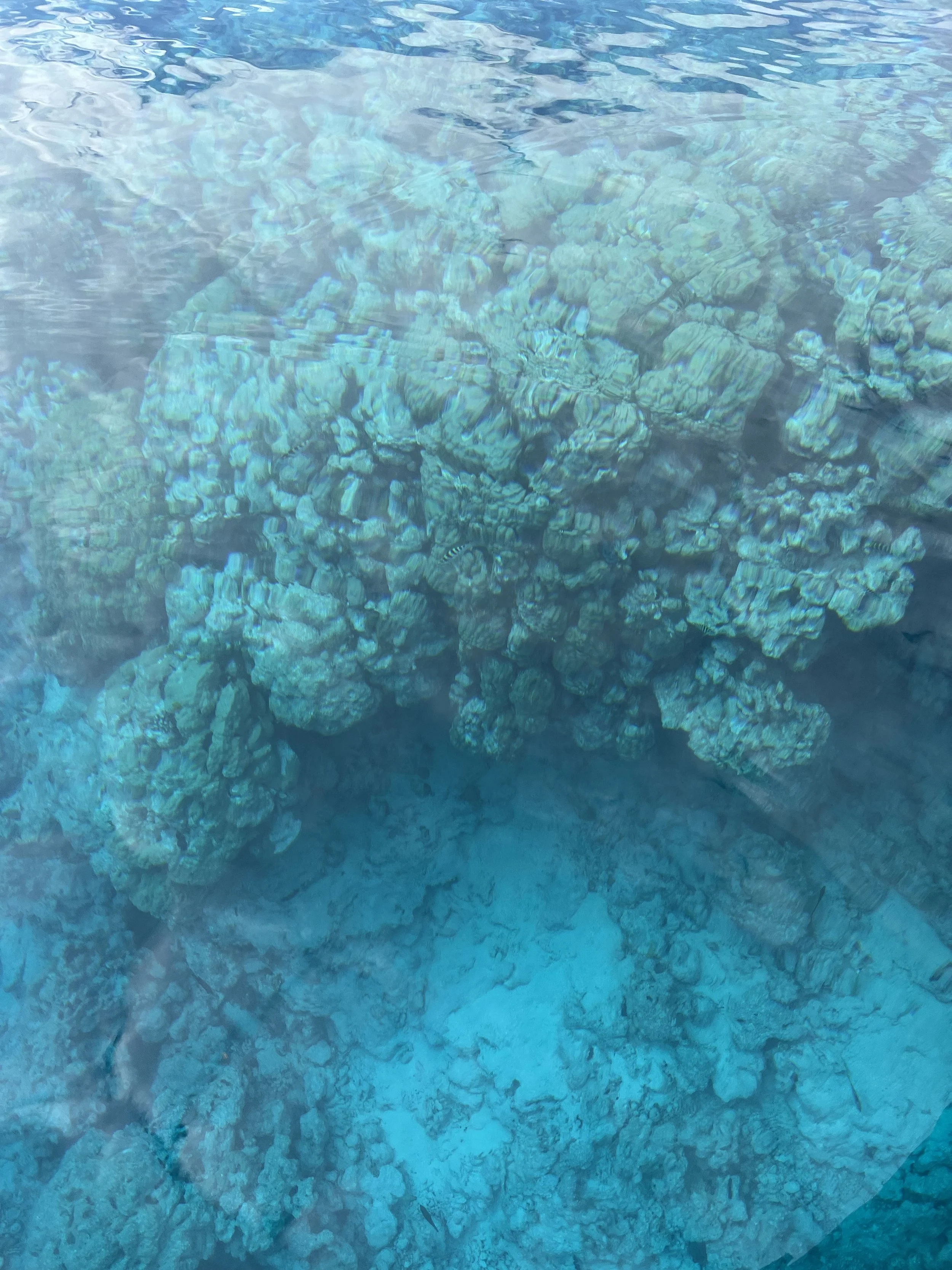 Fakarava -Tuamotu 12 July 2024&nbsp;