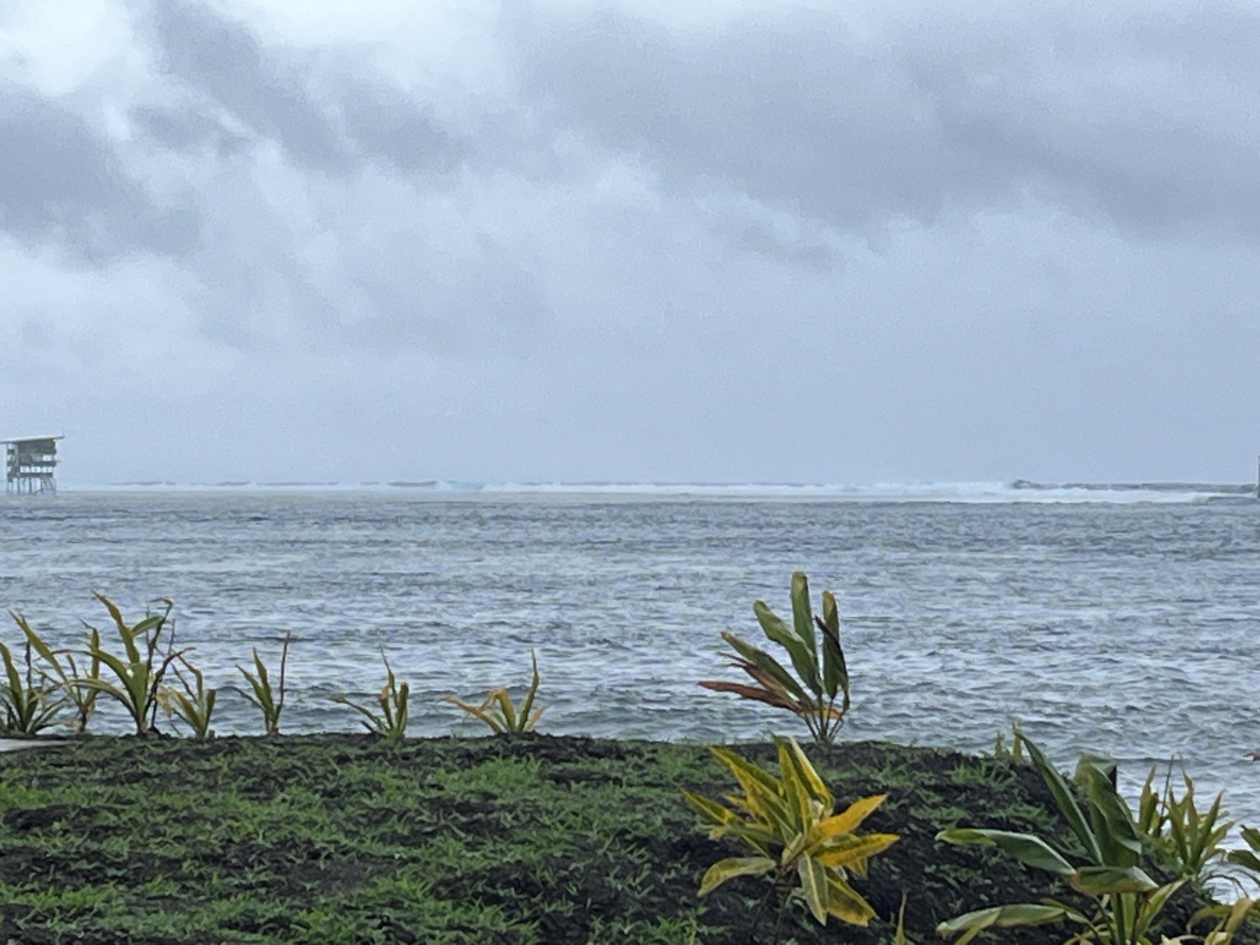 Tahiti Tour - 29 July 2024