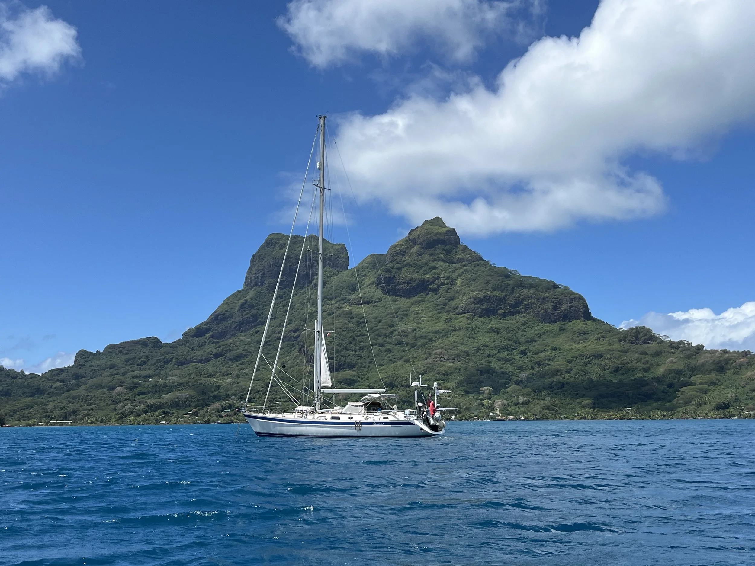 10 September 2024 – The Bora Bora Show! &nbsp;