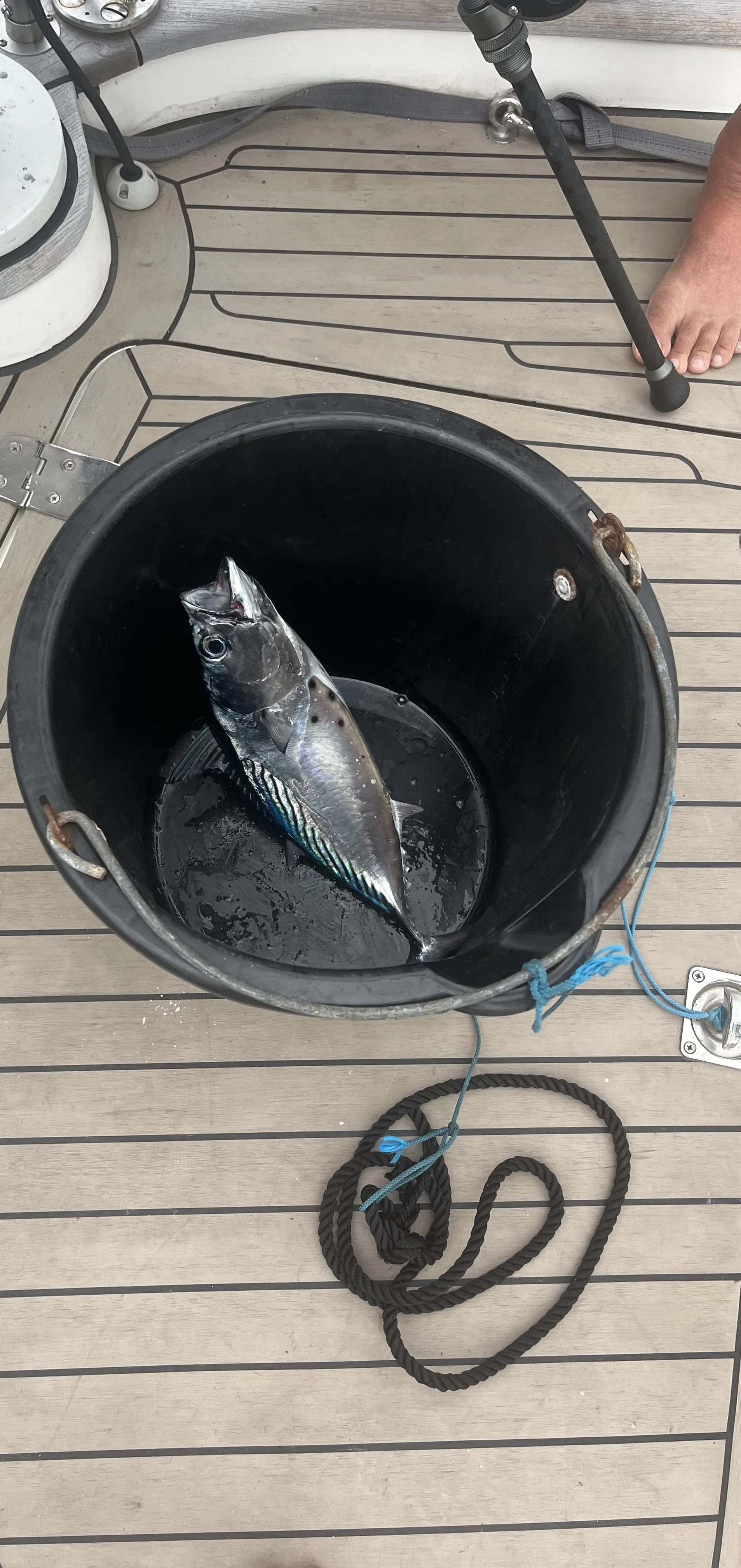 17 October 2024 –Tonga -Vava’u Group