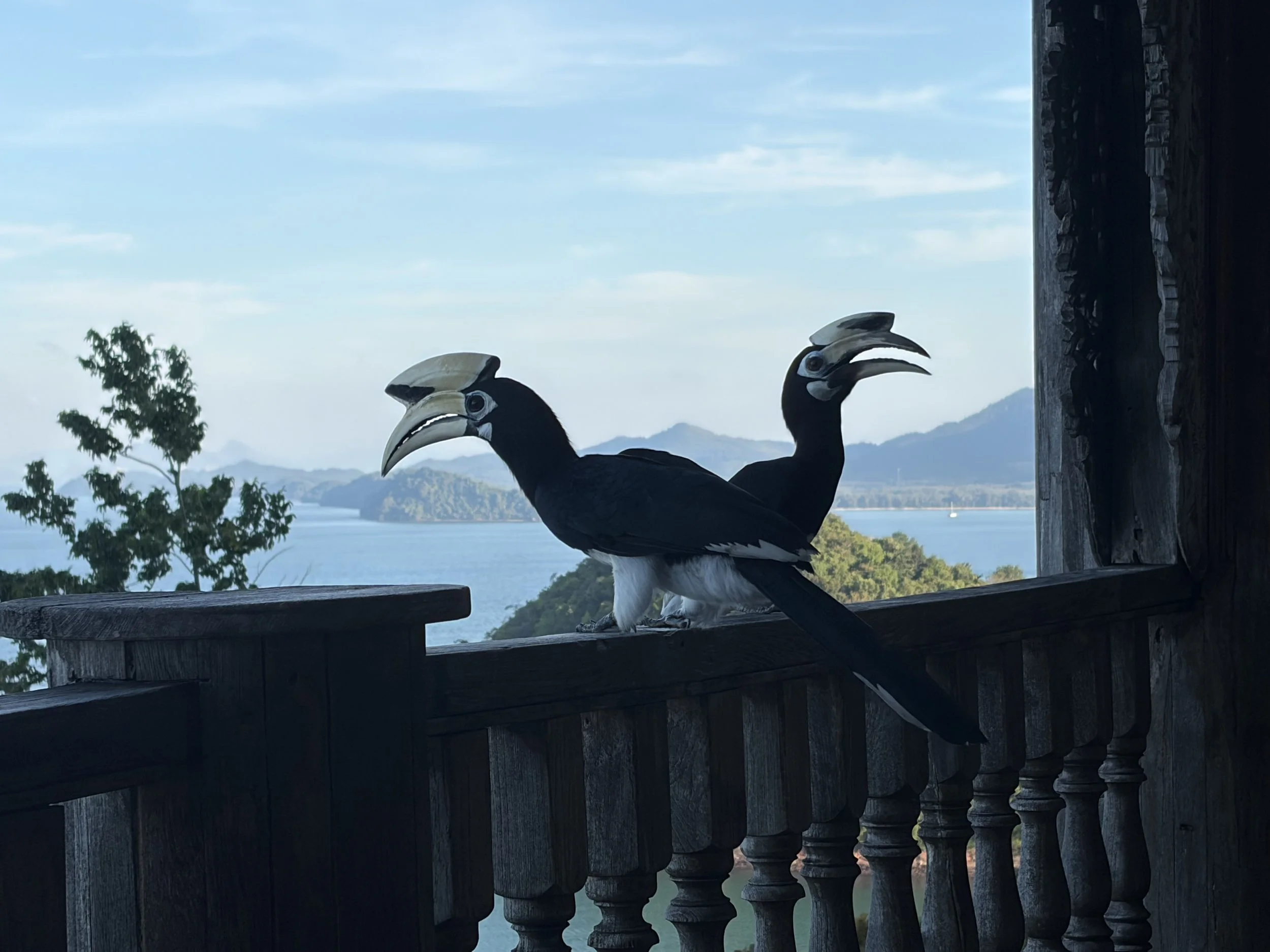 Year 2 -15-18 December 2025 –Phuket -Thailand&nbsp;