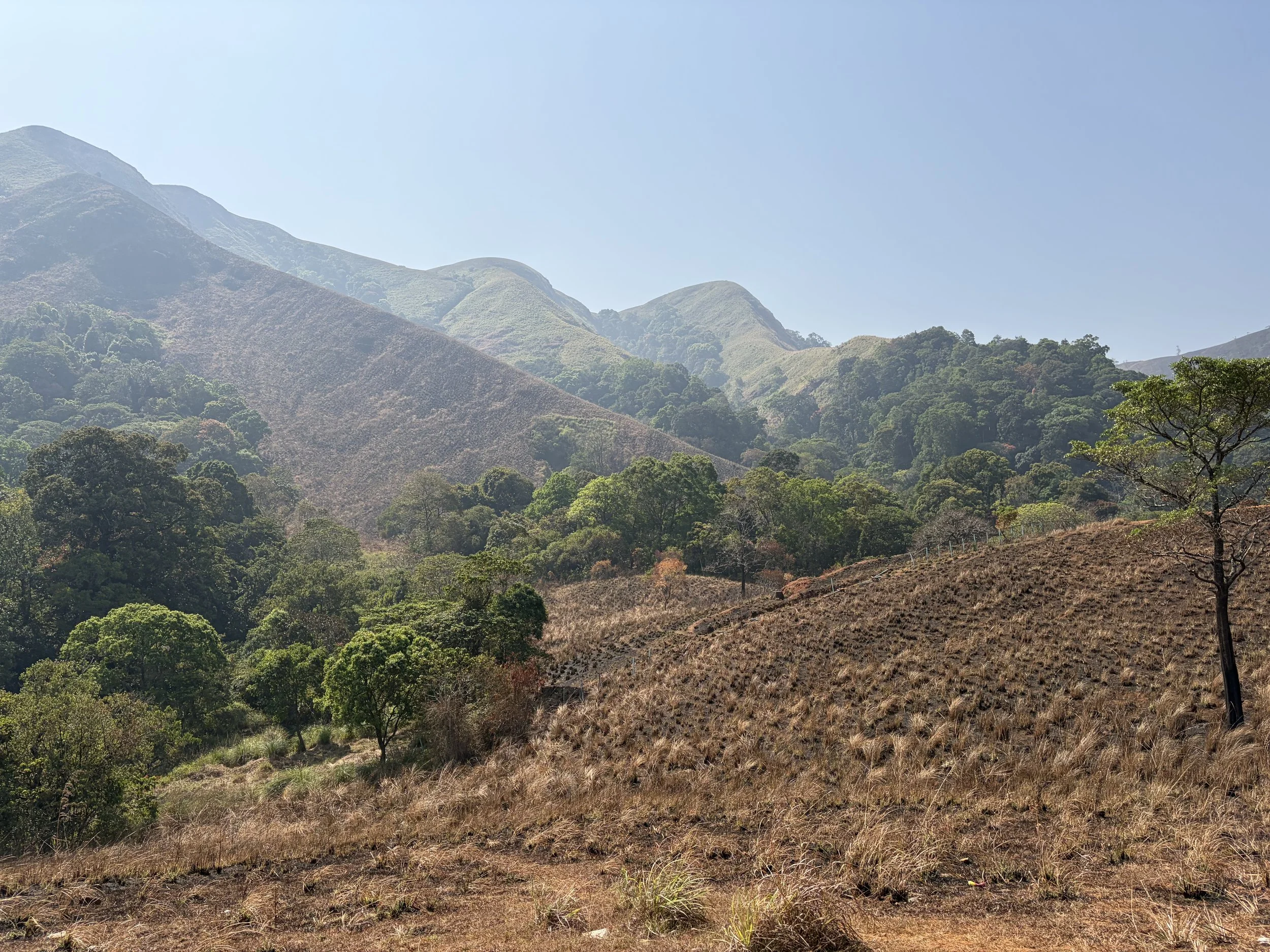 Year 3 -17 February 2026 – Periya National Park -Kumily -India