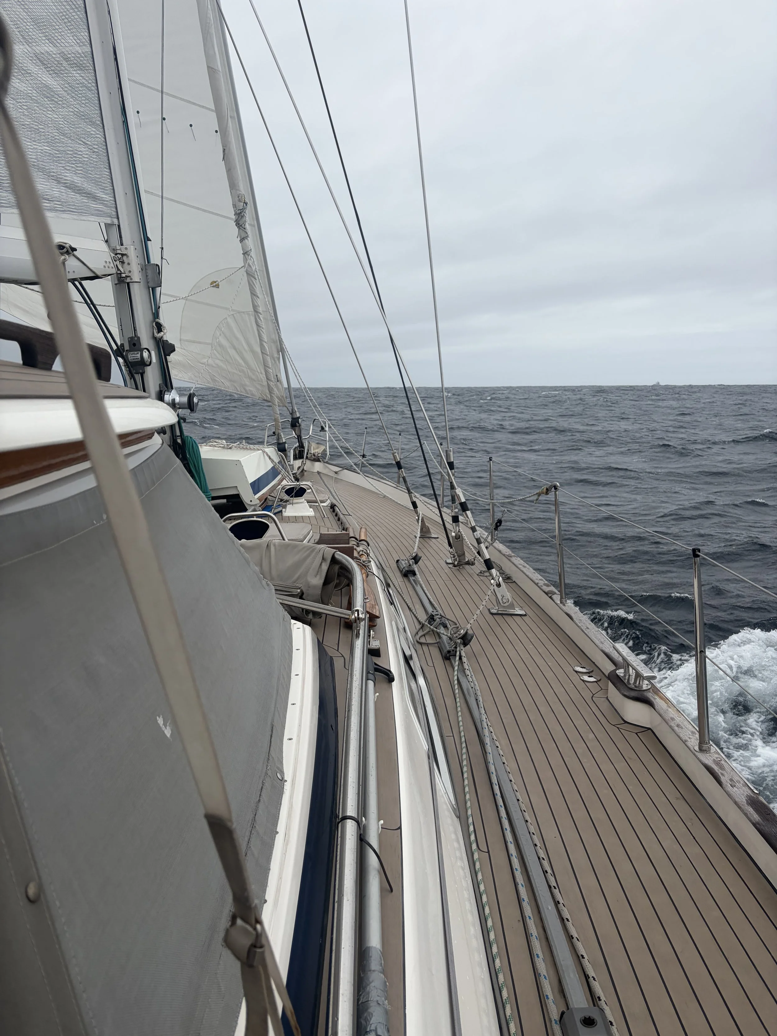 Year 3 -15th October 2026 – Faial -Azores for Hamble UK – Day 8– the Last Passage to Home