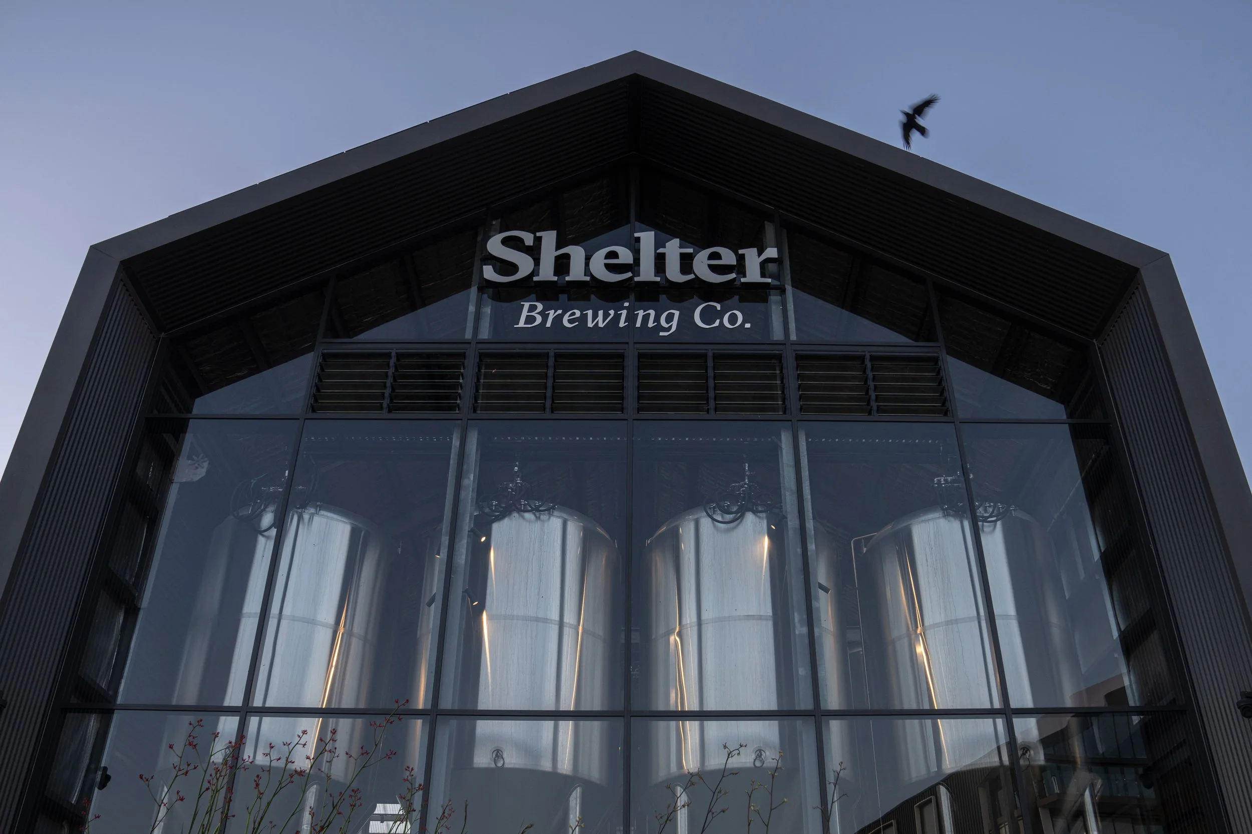 Scott Bauer Photo-0404.JPG