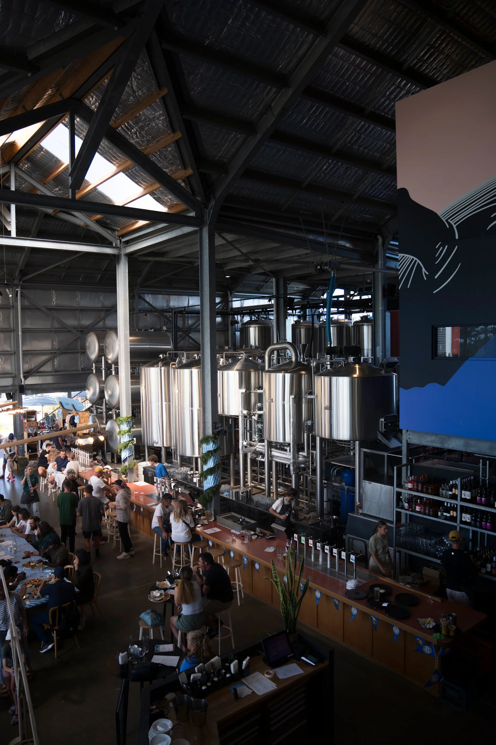 Scott Bauer Photo-9428.JPG