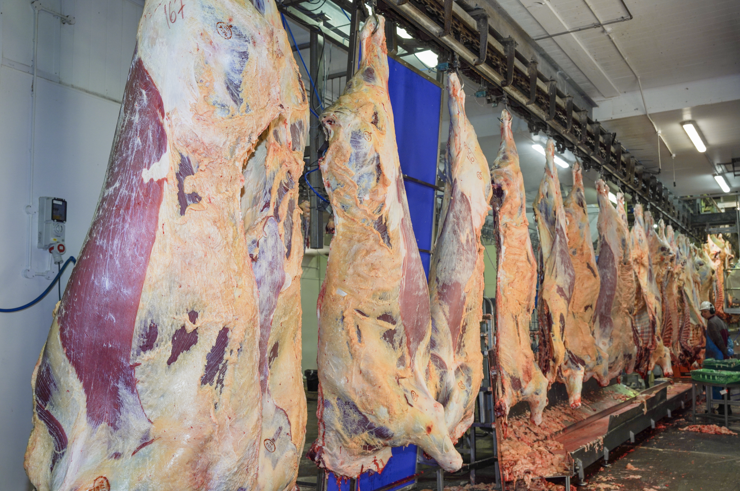 Screenshot 2025-12-15 at 13.11.24.png