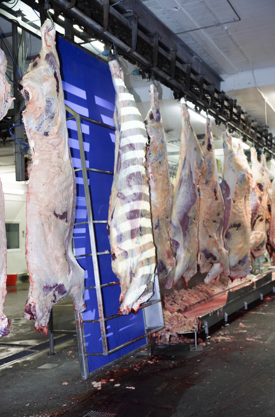 Screenshot 2025-12-15 at 13.39.11.png