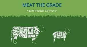 Highlighting a Valuable Resource: QMS Scotland's 'Meat the Grade' Program</span>