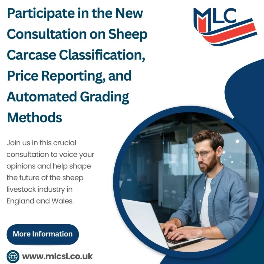 Participate in the New Consultation on Sheep Carcase Classification, Price Reporting and Automated Grading Methods
