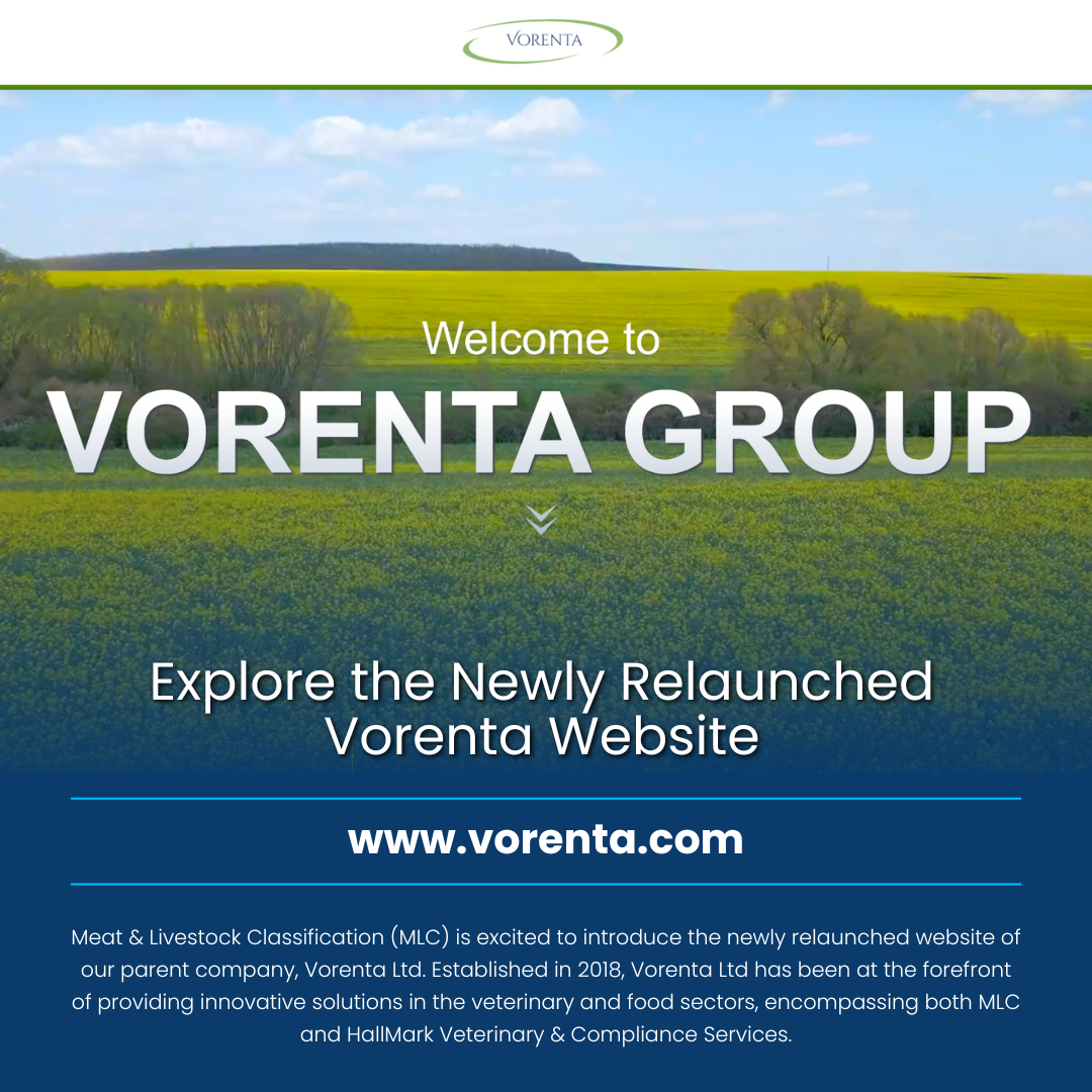Vorenta Ltd Unveils New Website: Showcasing Leadership in Meat Classification and Veterinary Services
