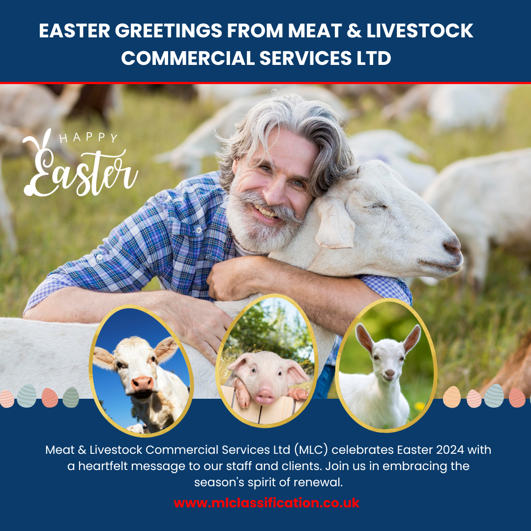 Easter Greetings 2024 from MLC | A Message of Thanks and Renewal