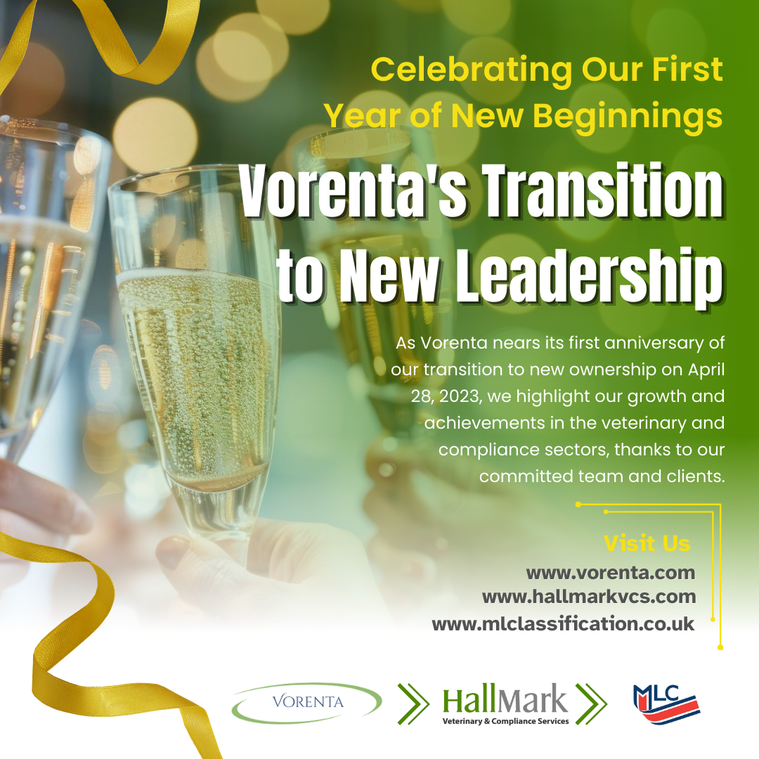 Celebrating One Year Anniversary of Vorenta's Transition to New Ownership