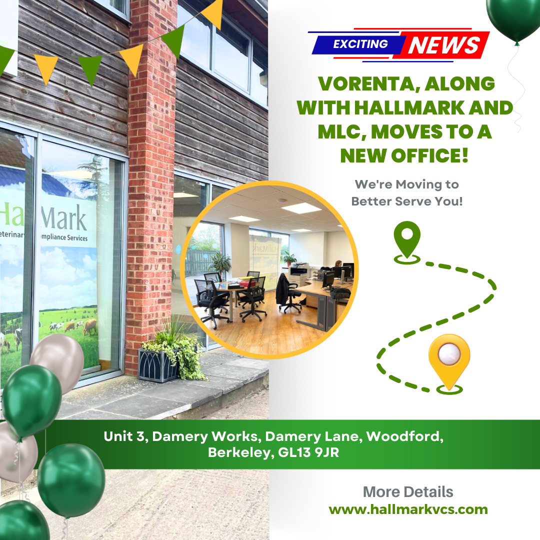 Exciting News: Vorenta, along with MLC and HallMark, Moves to a New Office!