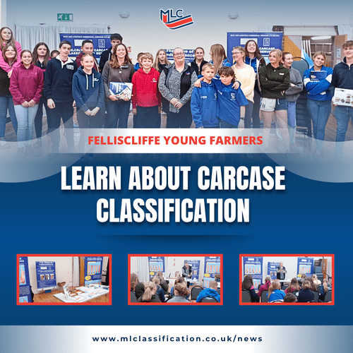 Felliscliffe Young Farmers Learn About Carcase Classification — MLC — MLC