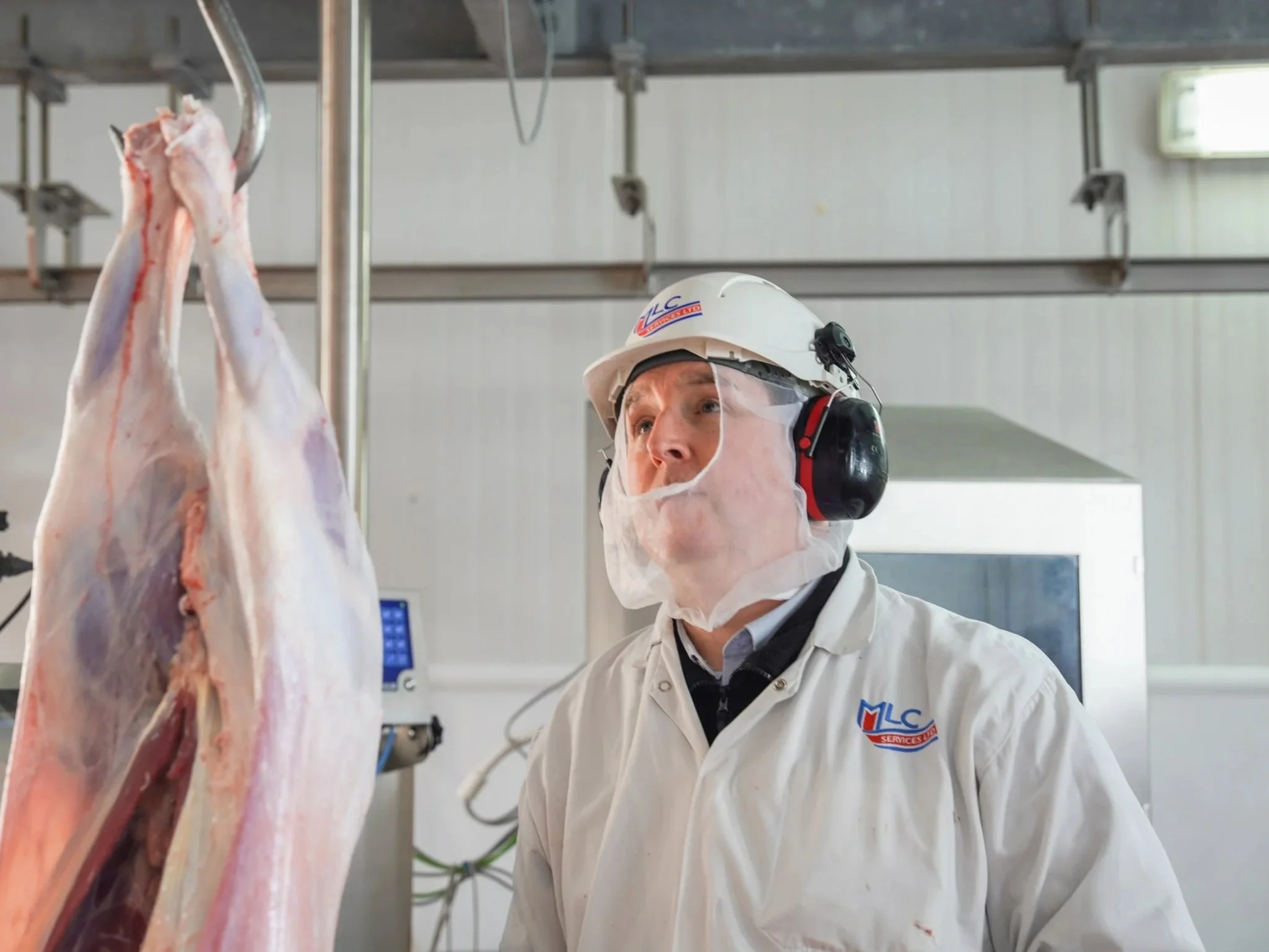 Carcase Service Officer II - Bedford 