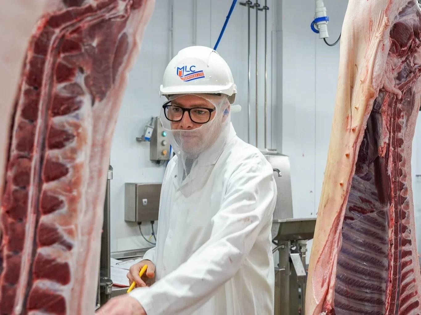 Carcase Service Officer III - Pinchbeck