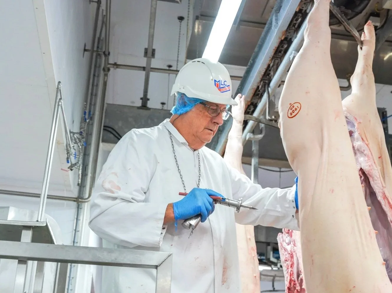 Carcase Service Officer III - Brechin