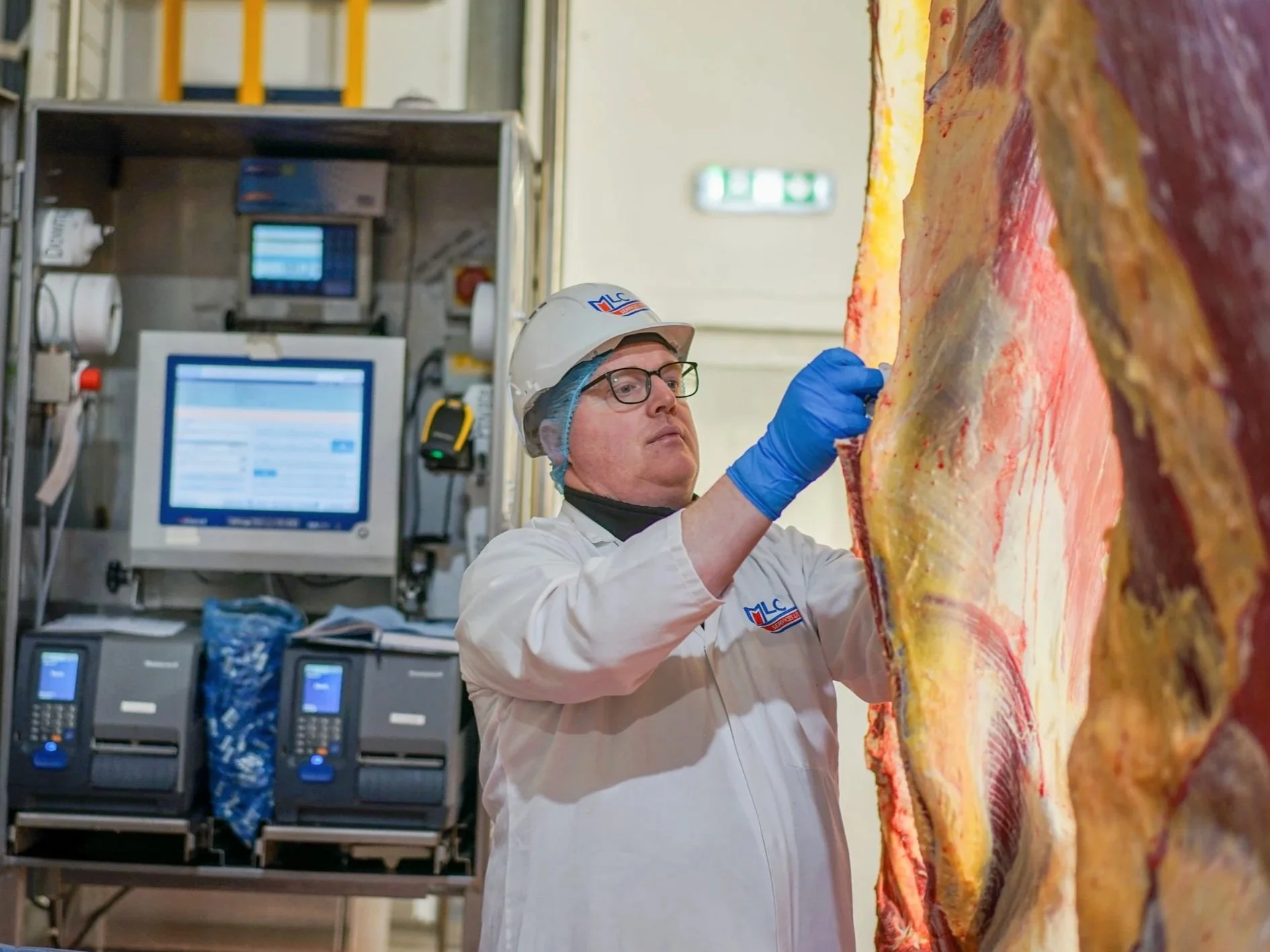 Carcase Service Officer II - Bristol