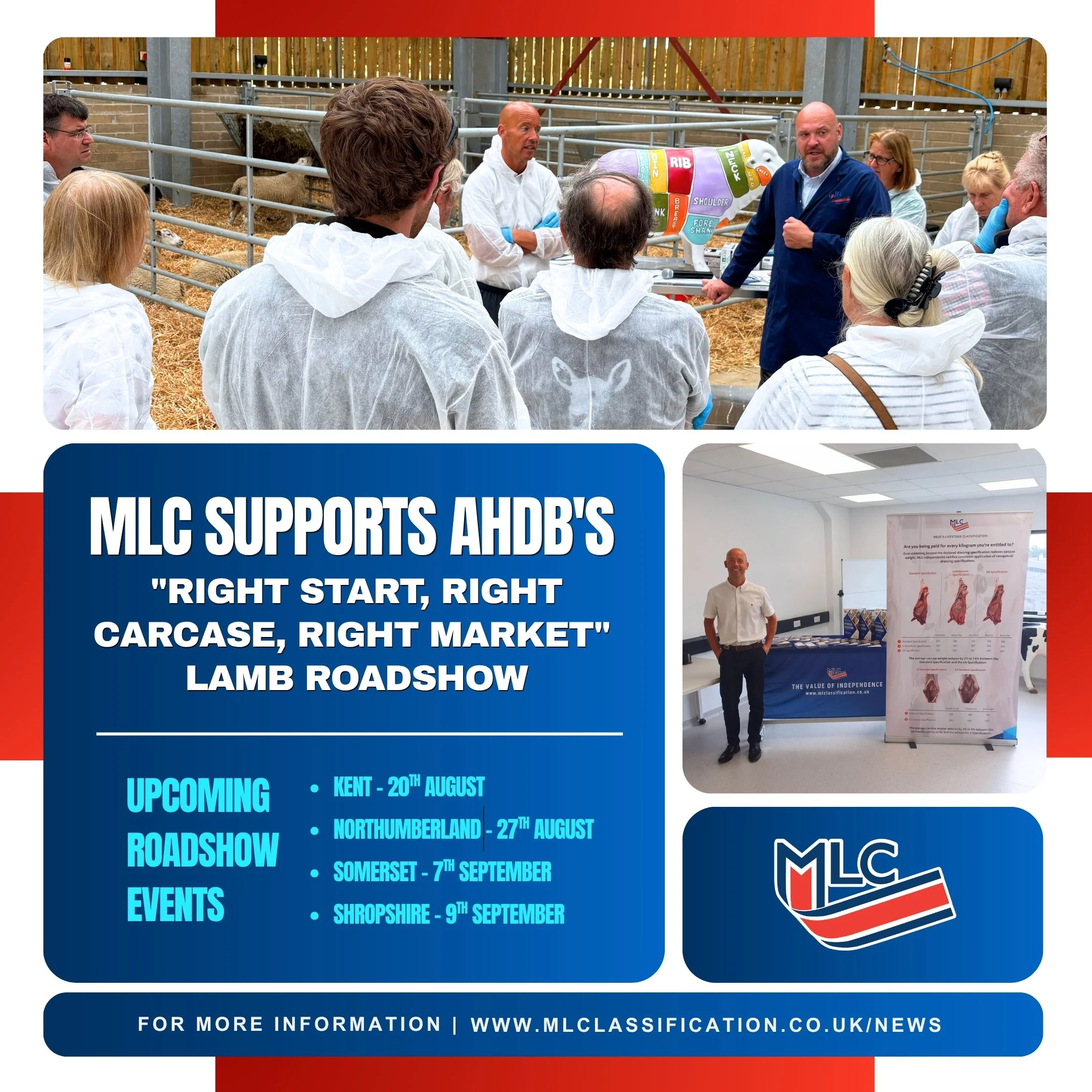 MLC Supports AHDB's "Right Start, Right Carcase, Right Market" Lamb Roadshow