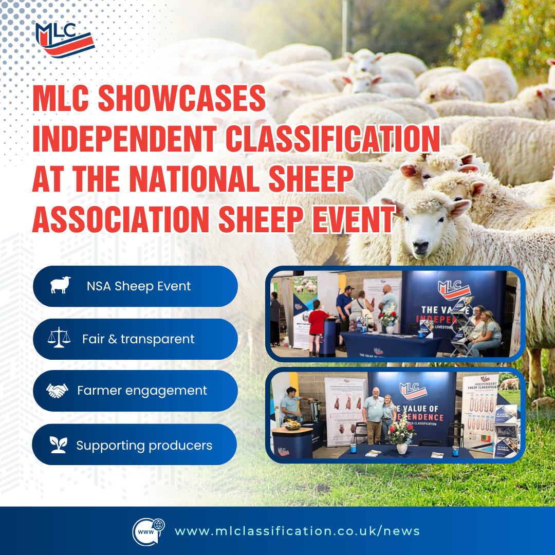 MLC Showcases Independent Classification at the National Sheep Association Sheep Event