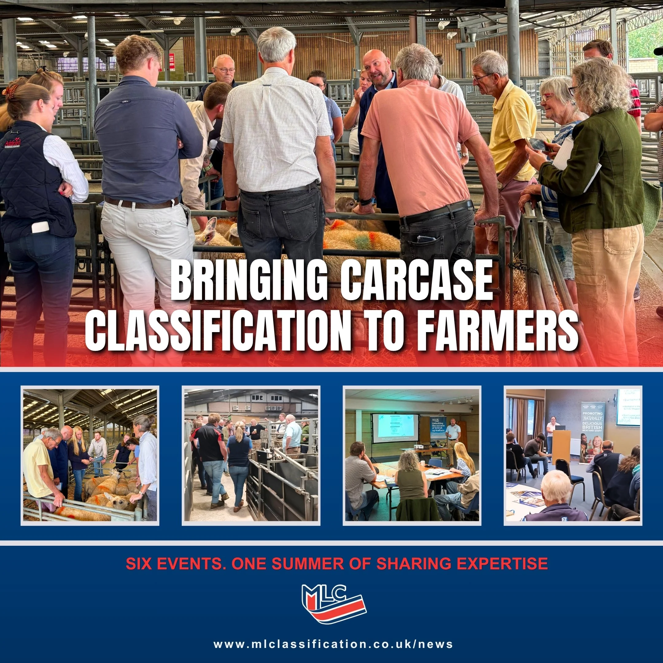 MLC Supports Farmers Across AHDB Lamb Roadshow