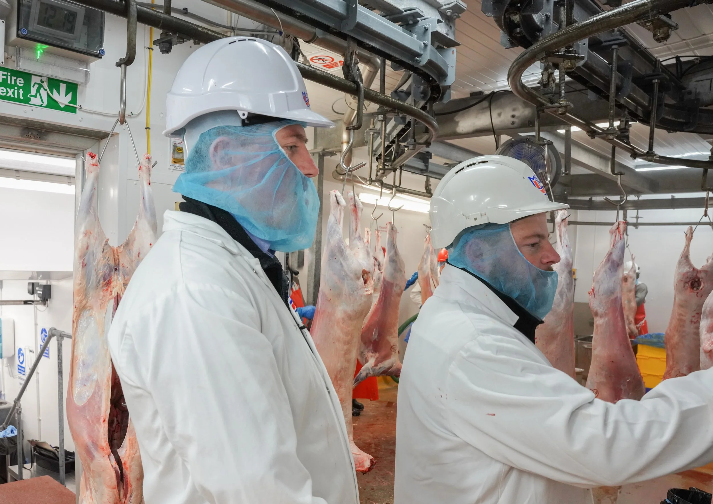 Meat Hygiene Inspector Traineeship