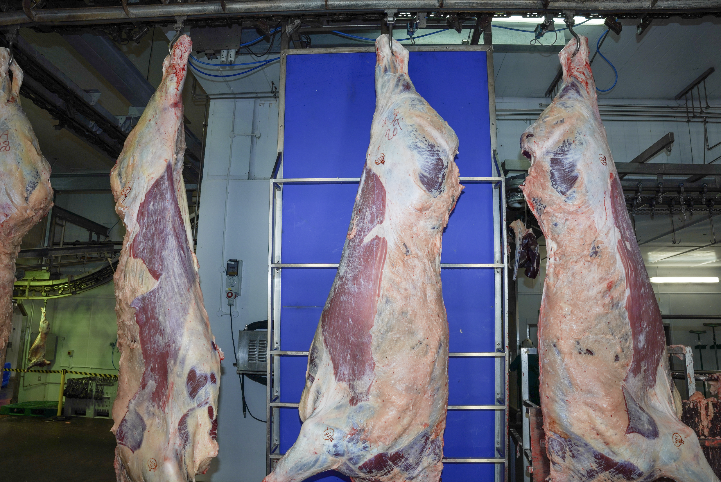 Screenshot 2025-12-15 at 13.39.45.png