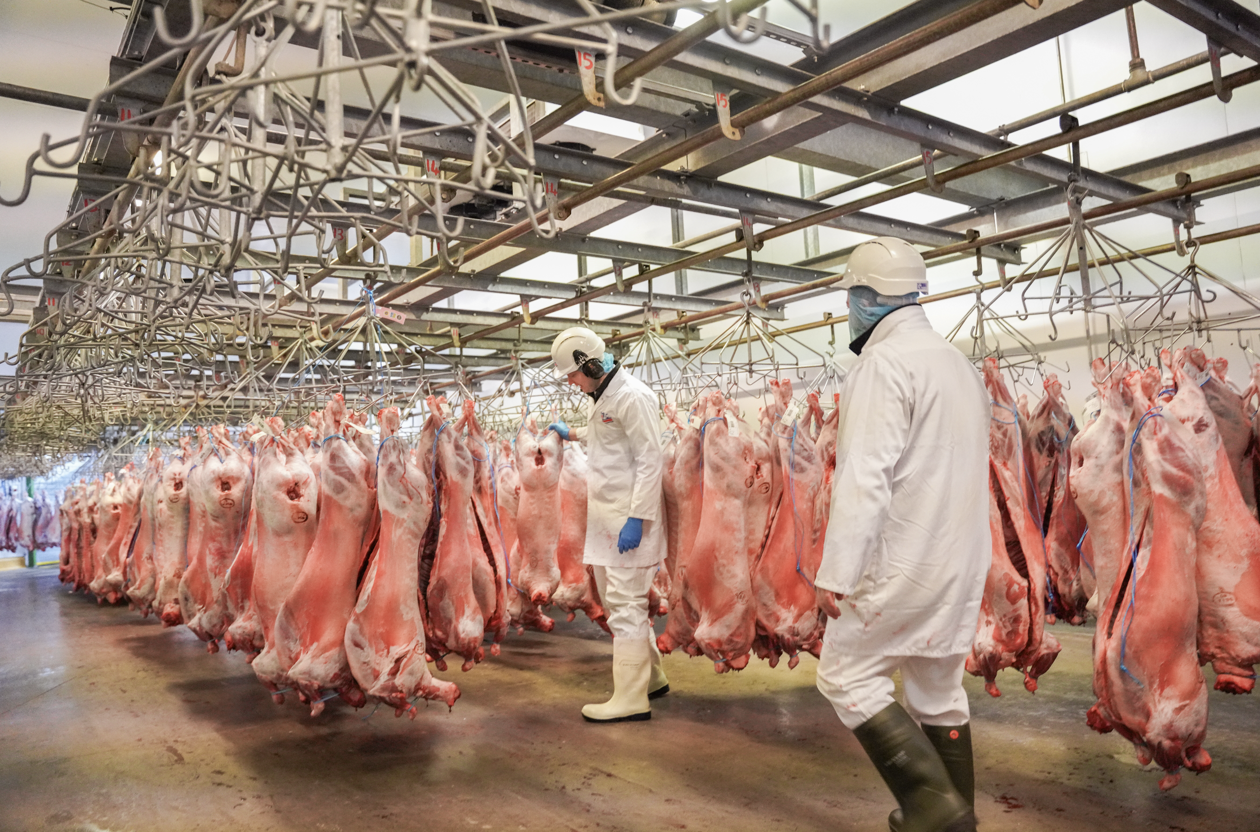 Screenshot 2025-12-09 at 15.55.45.png