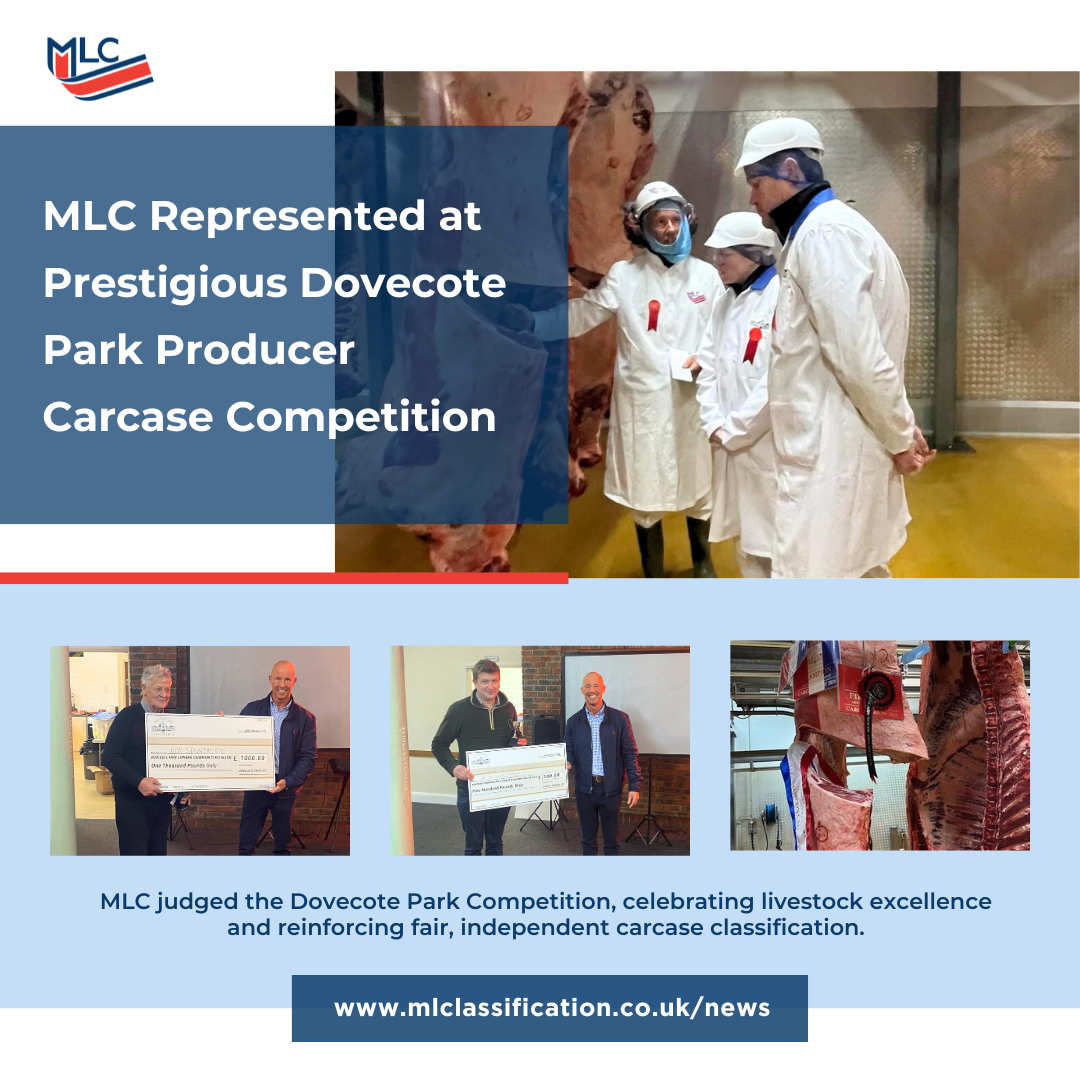 MLC Represented at Prestigious Dovecote Park Producer Carcase Competition