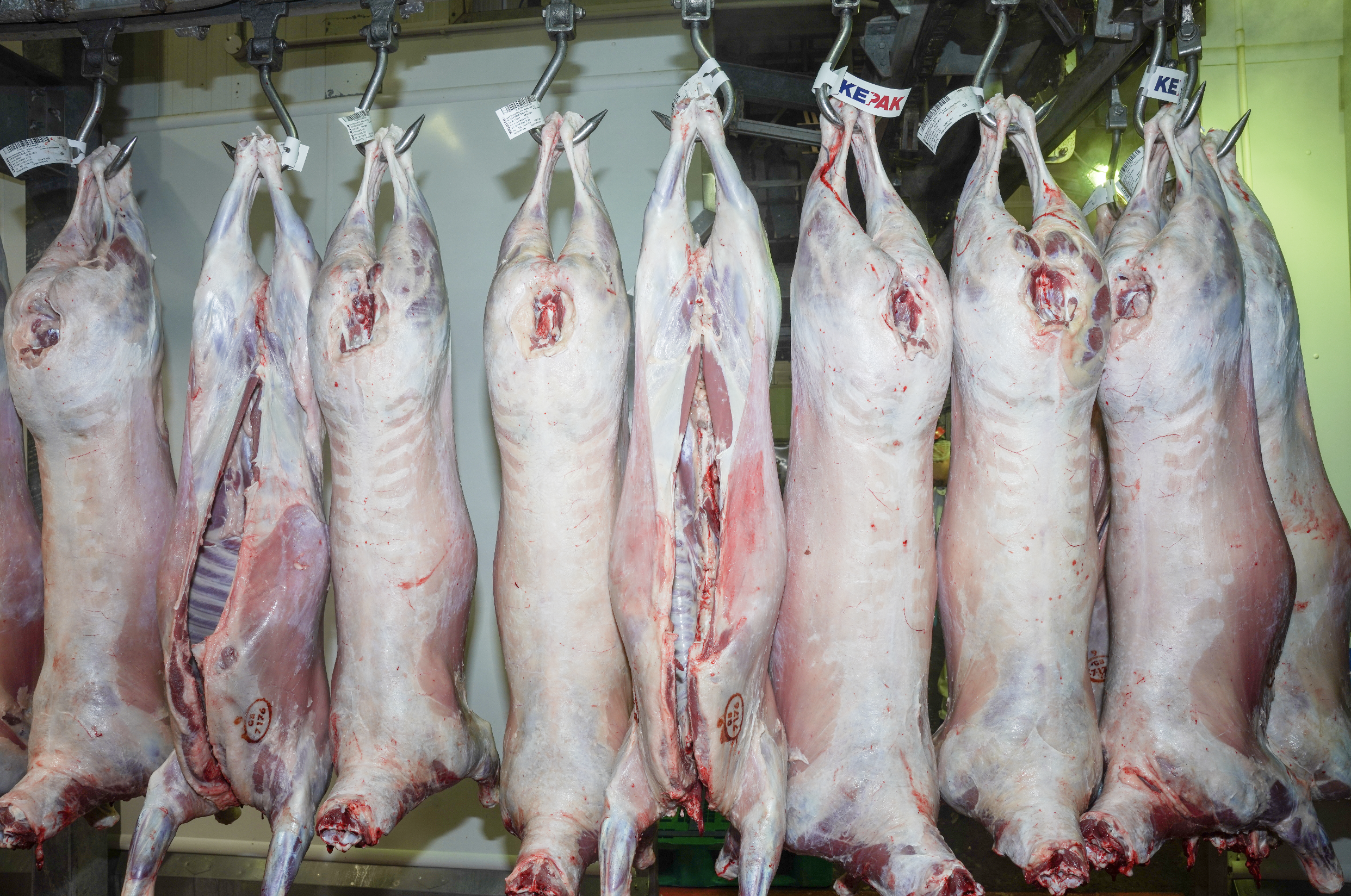 Screenshot 2025-12-15 at 13.16.05.png