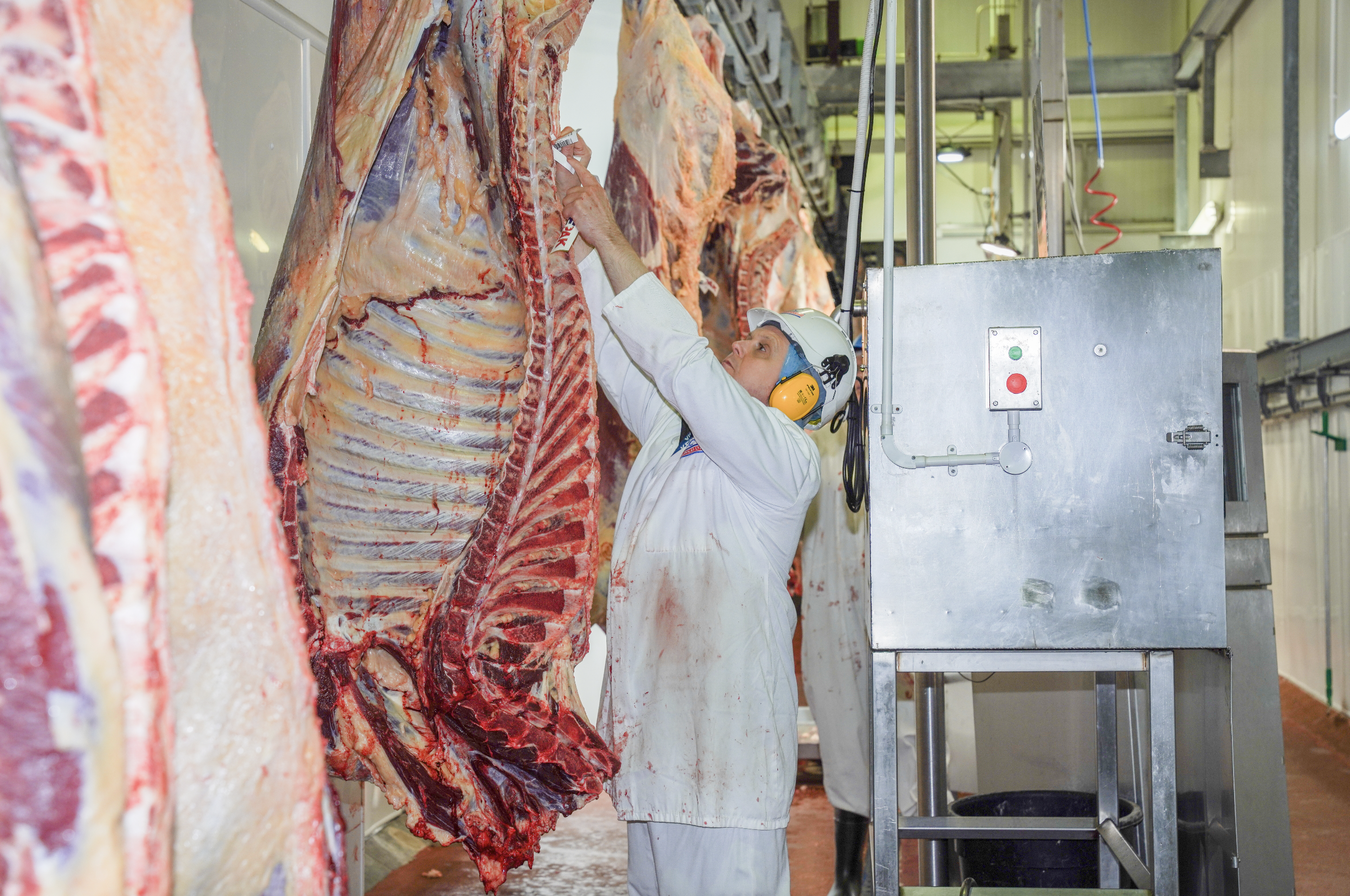 Screenshot 2025-12-15 at 13.15.32.png