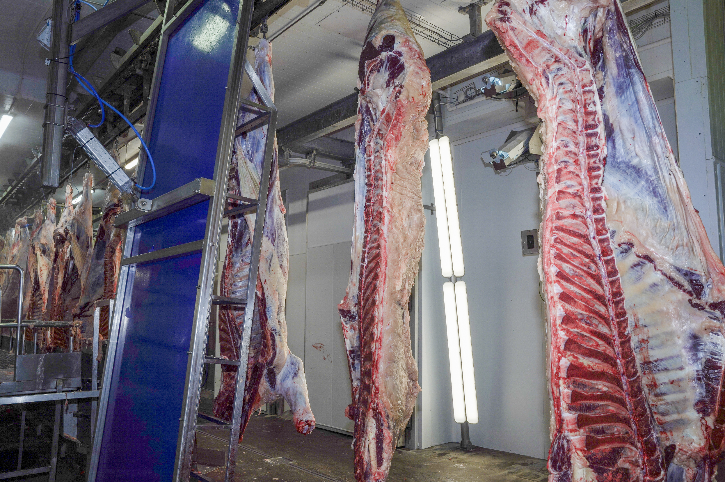 Screenshot 2025-12-15 at 13.16.25.png